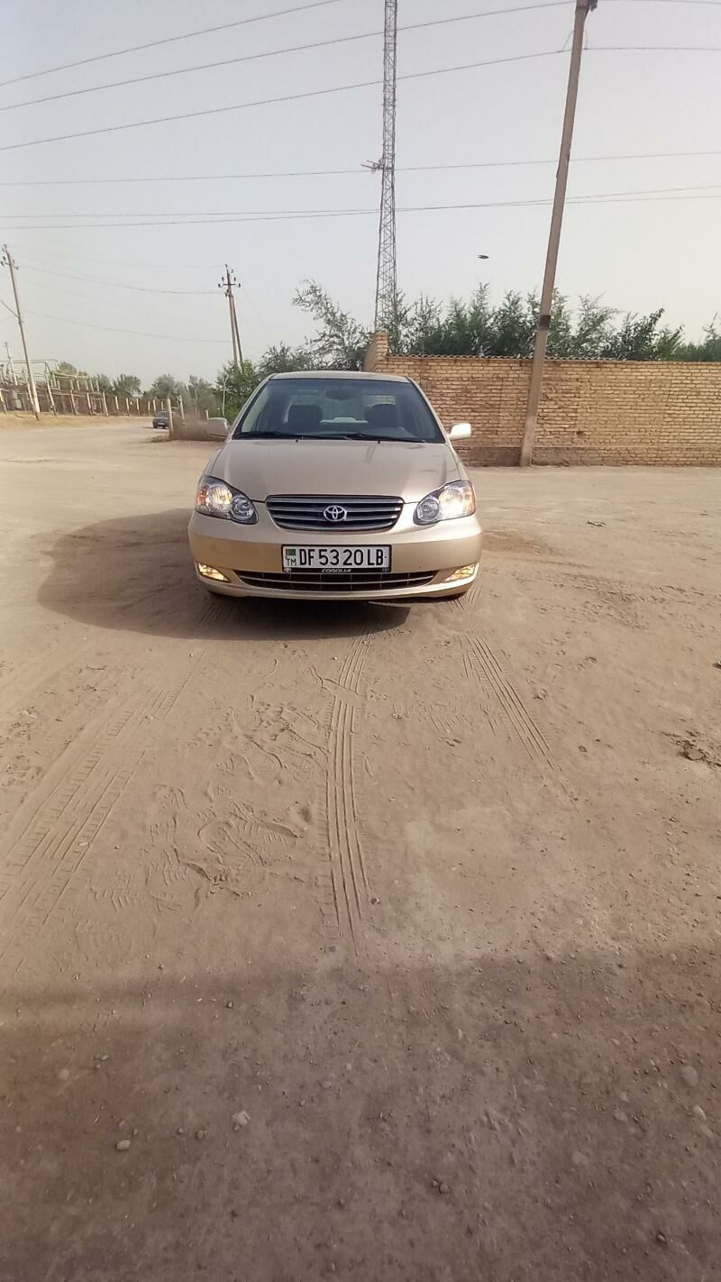 Toyota Corolla 2003 - 105 000 TMT - Hojambaz - img 3