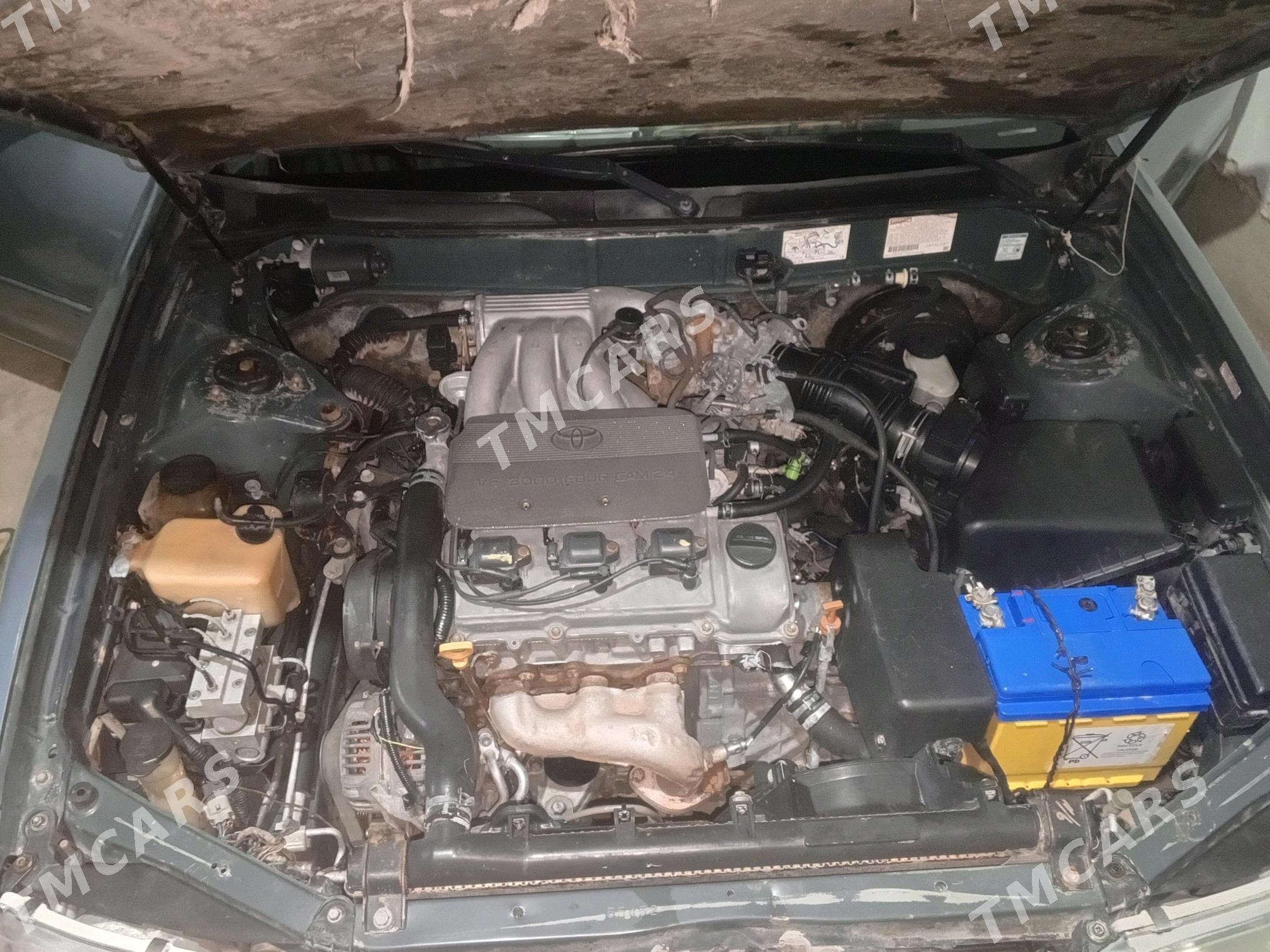 Toyota Avalon 1996 - 116 000 TMT - Gurbansoltan Eje - img 5