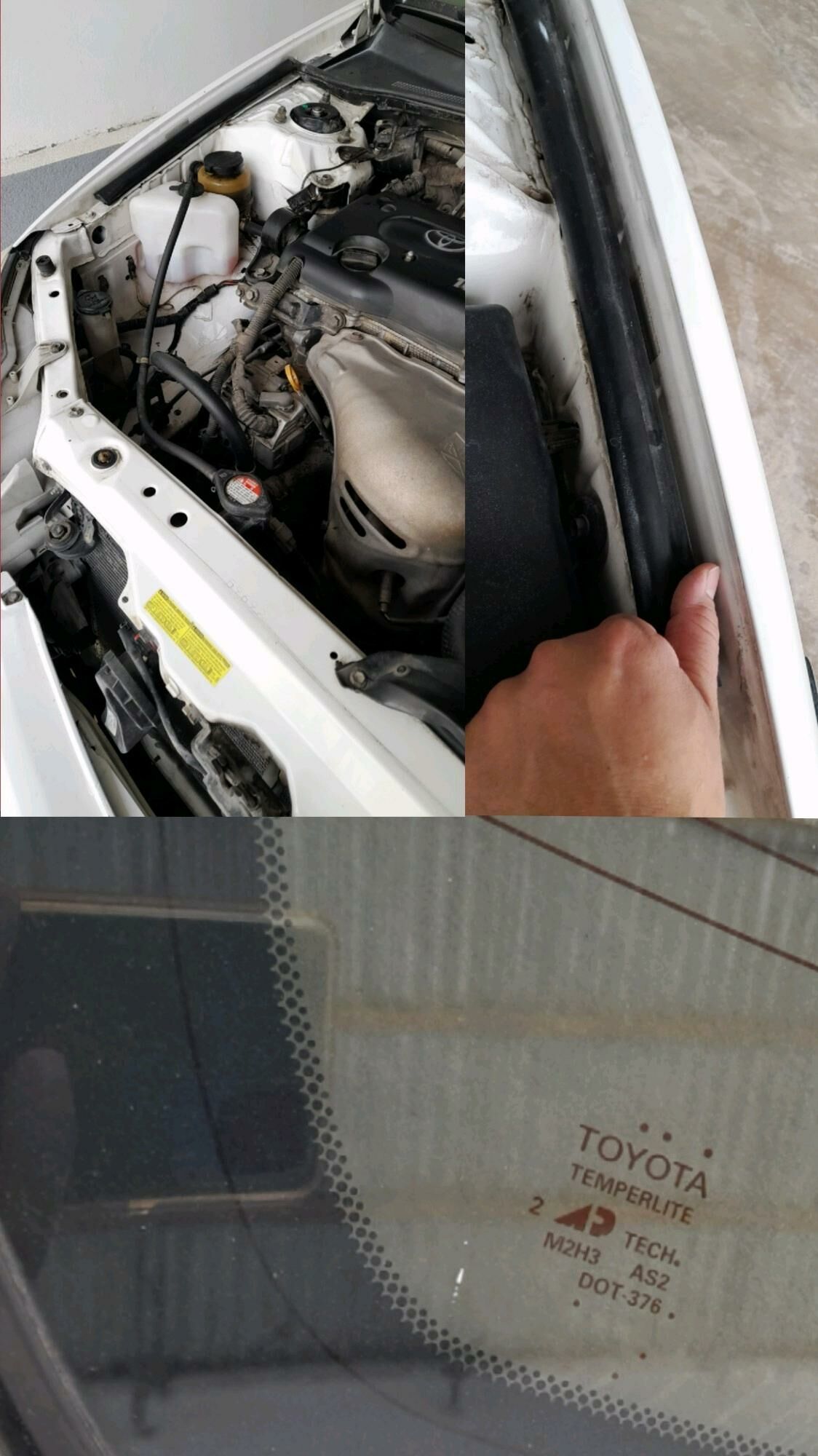 Toyota Camry 2003 - 139 000 TMT - Halaç - img 5