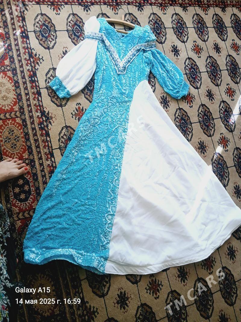 Gaşly şifon balgar garylan - Murgap - img 2