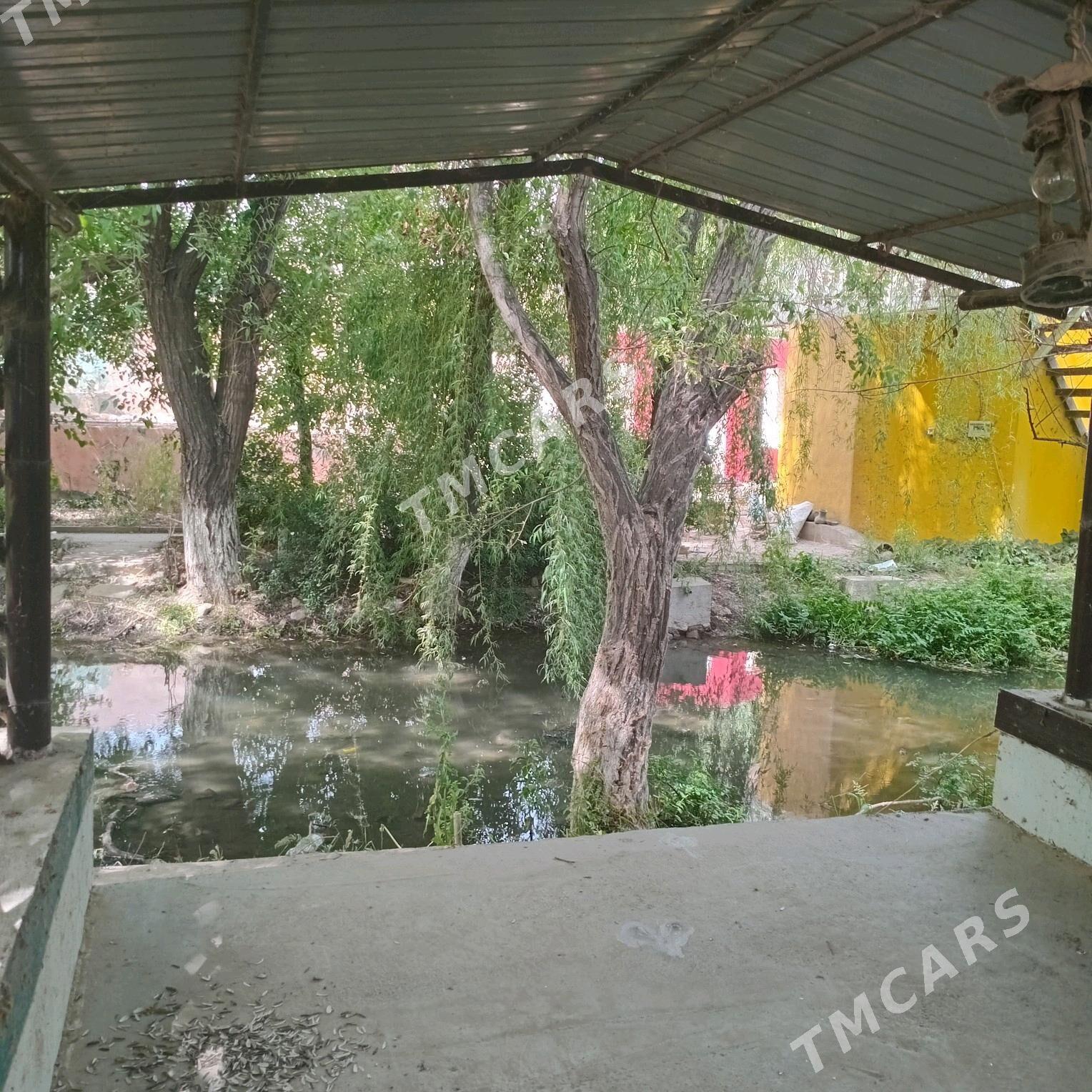 Bagyr MIR WELI.(Mirewe) - Багир - img 2