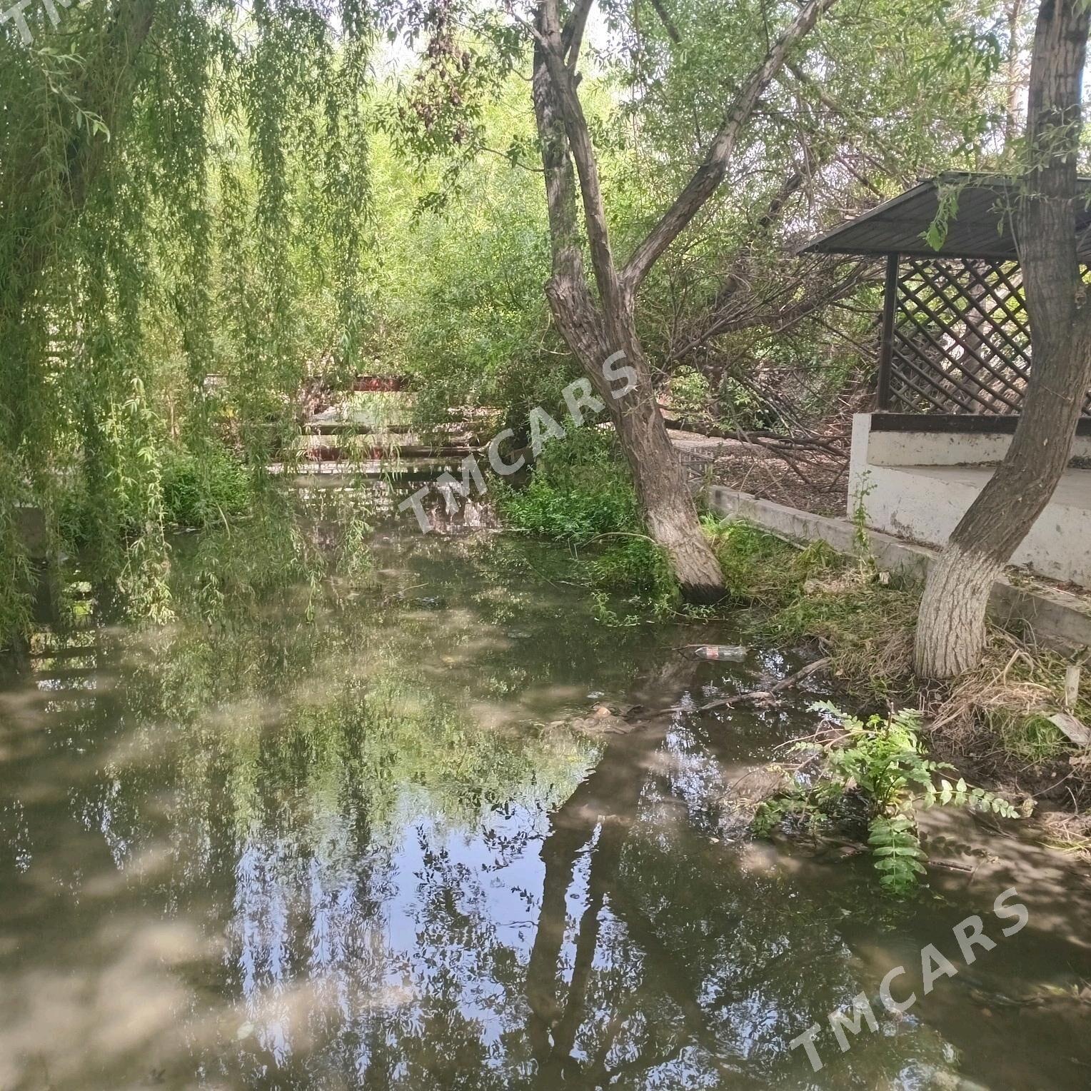 Bagyr MIR WELI.(Mirewe) - Багир - img 3