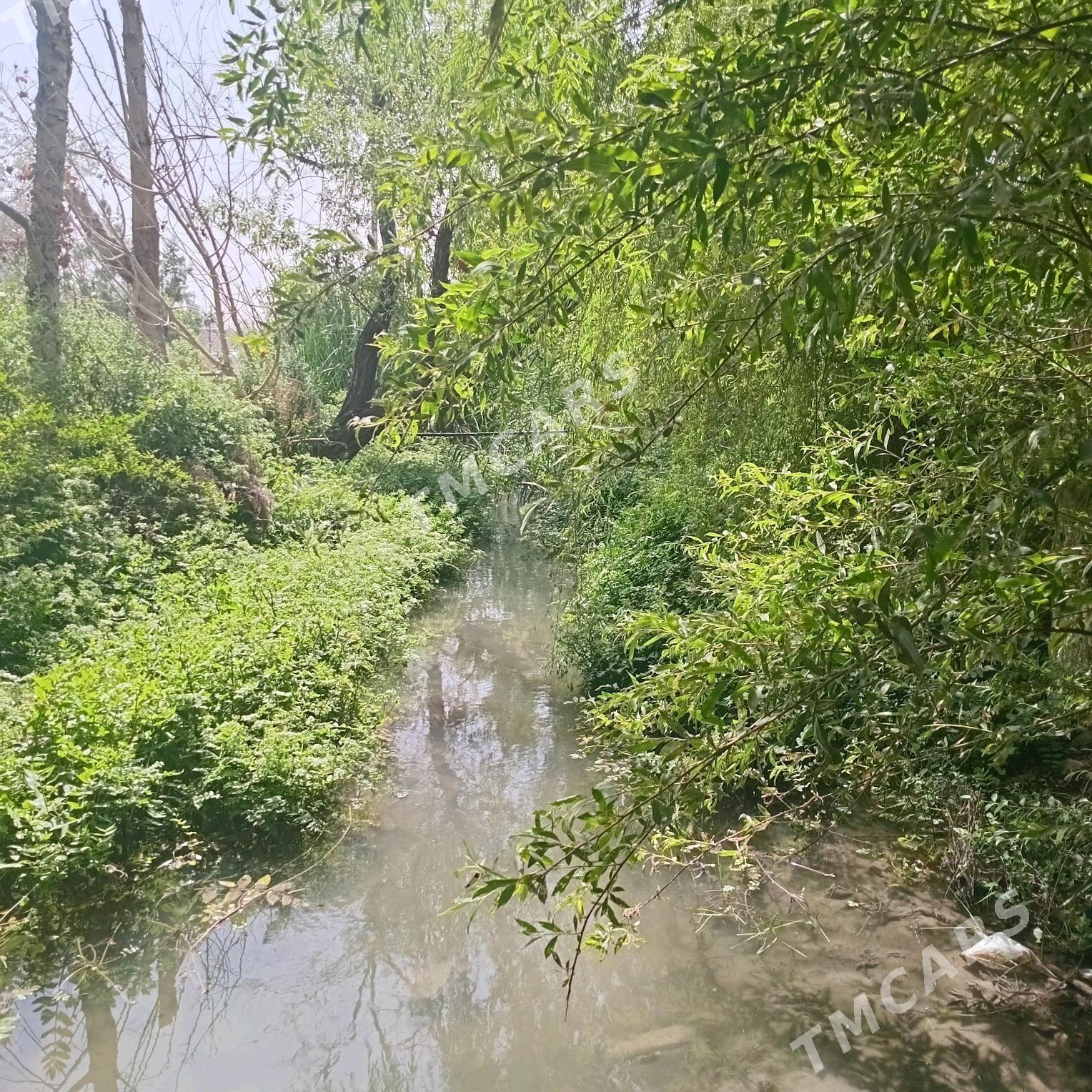 Bagyr MIR WELI.(Mirewe) - Багир - img 5