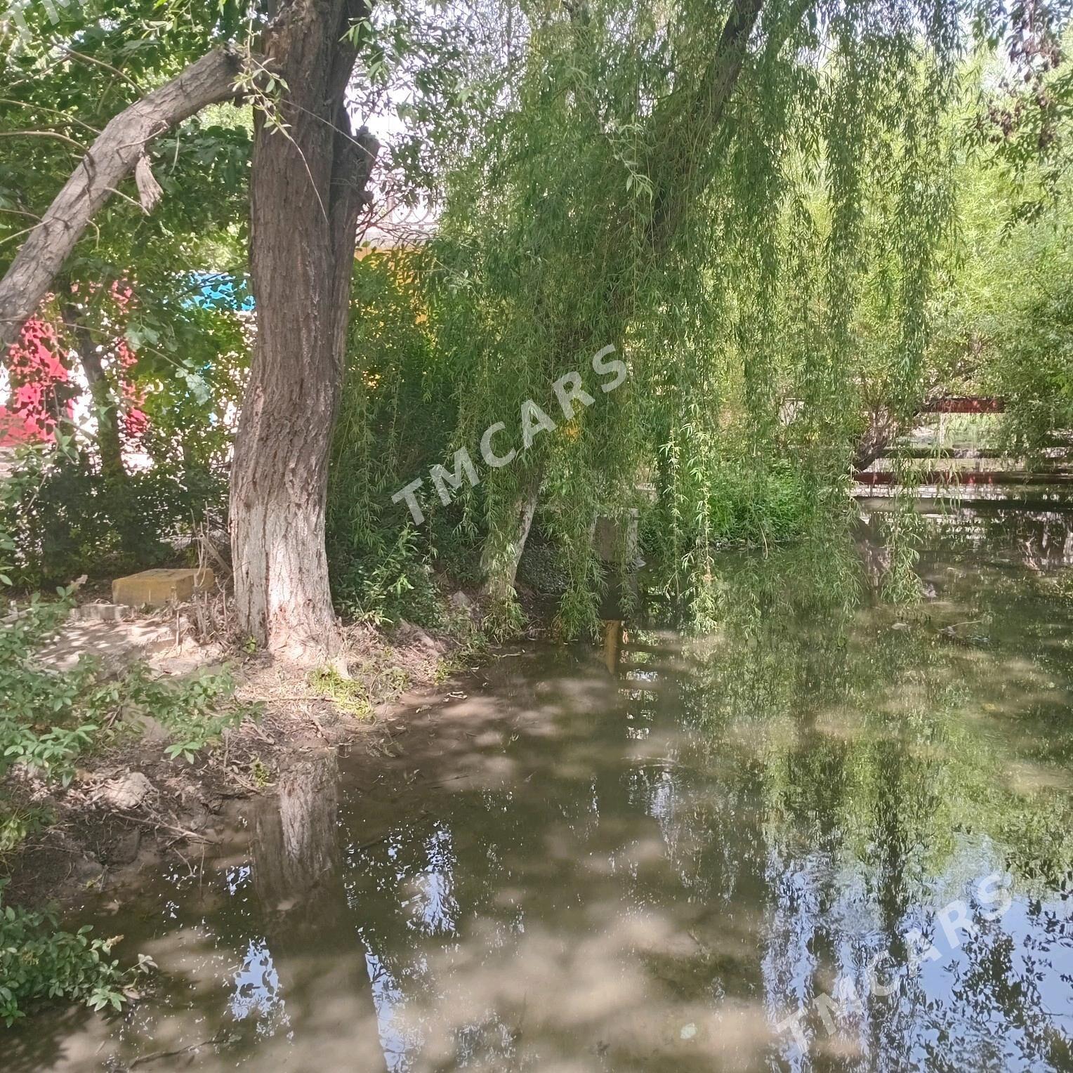 Bagyr MIR WELI.(Mirewe) - Багир - img 4