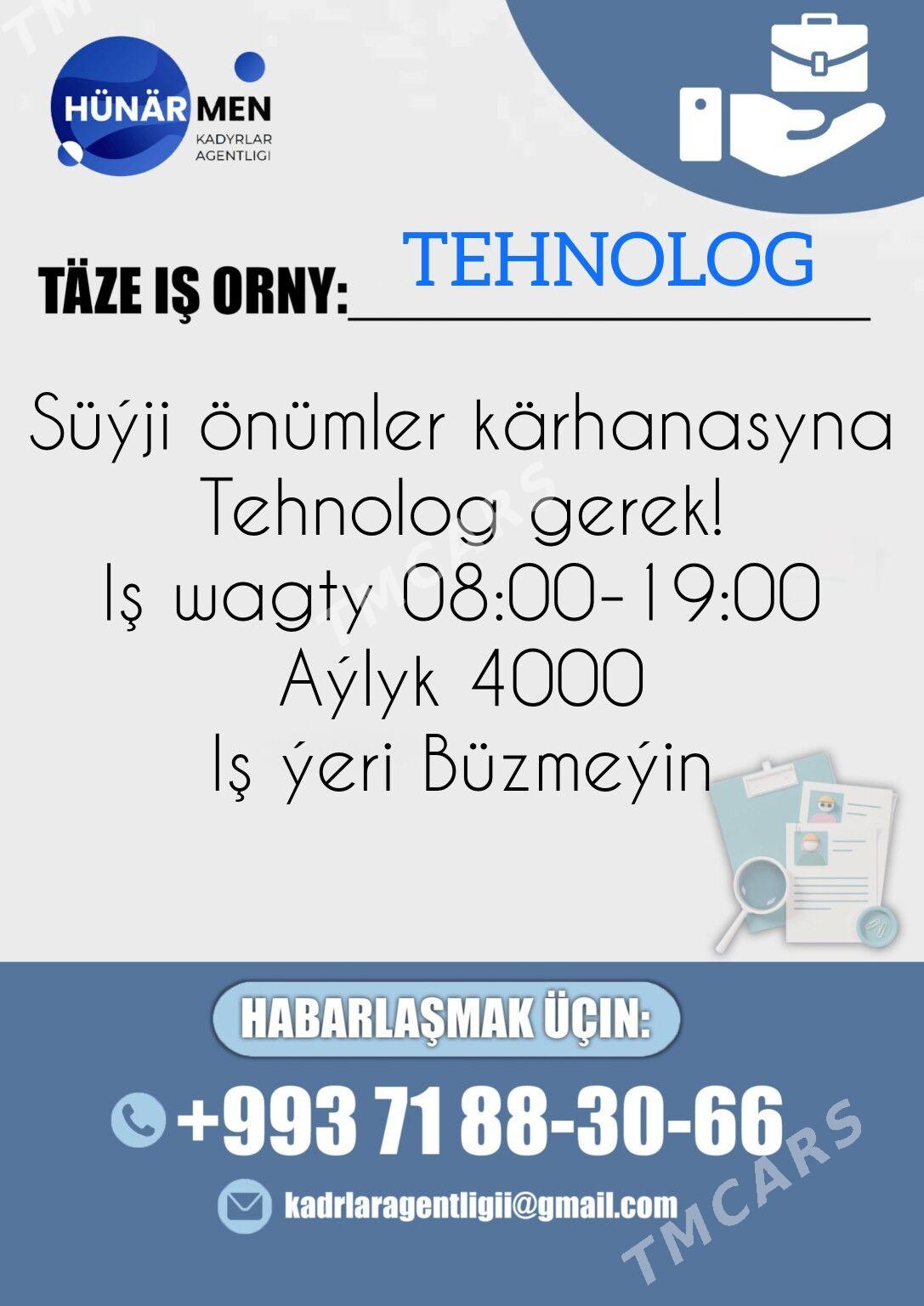 IT programist - Büzmeýin - img 2