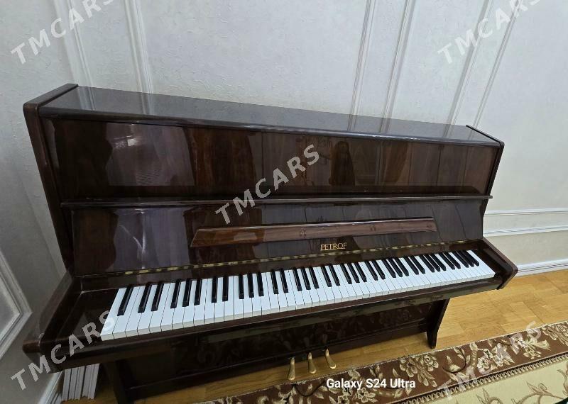 Pianino Petrof - Улица Ататурка - img 2