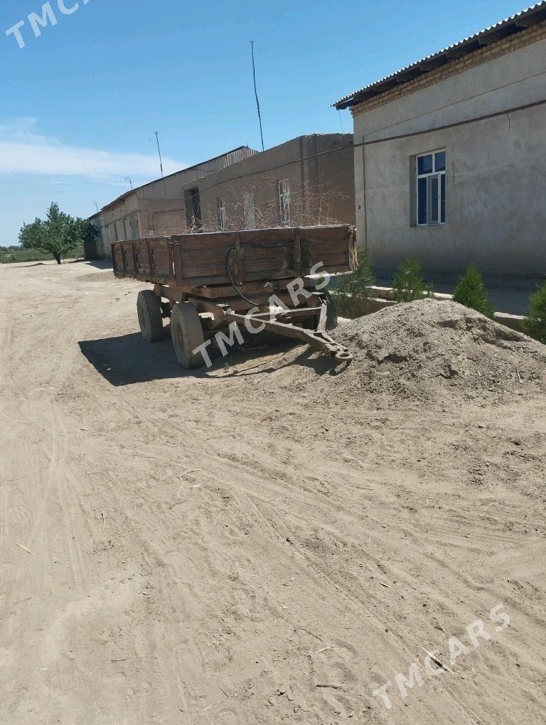 teleska - Gurbansoltan Eje - img 2