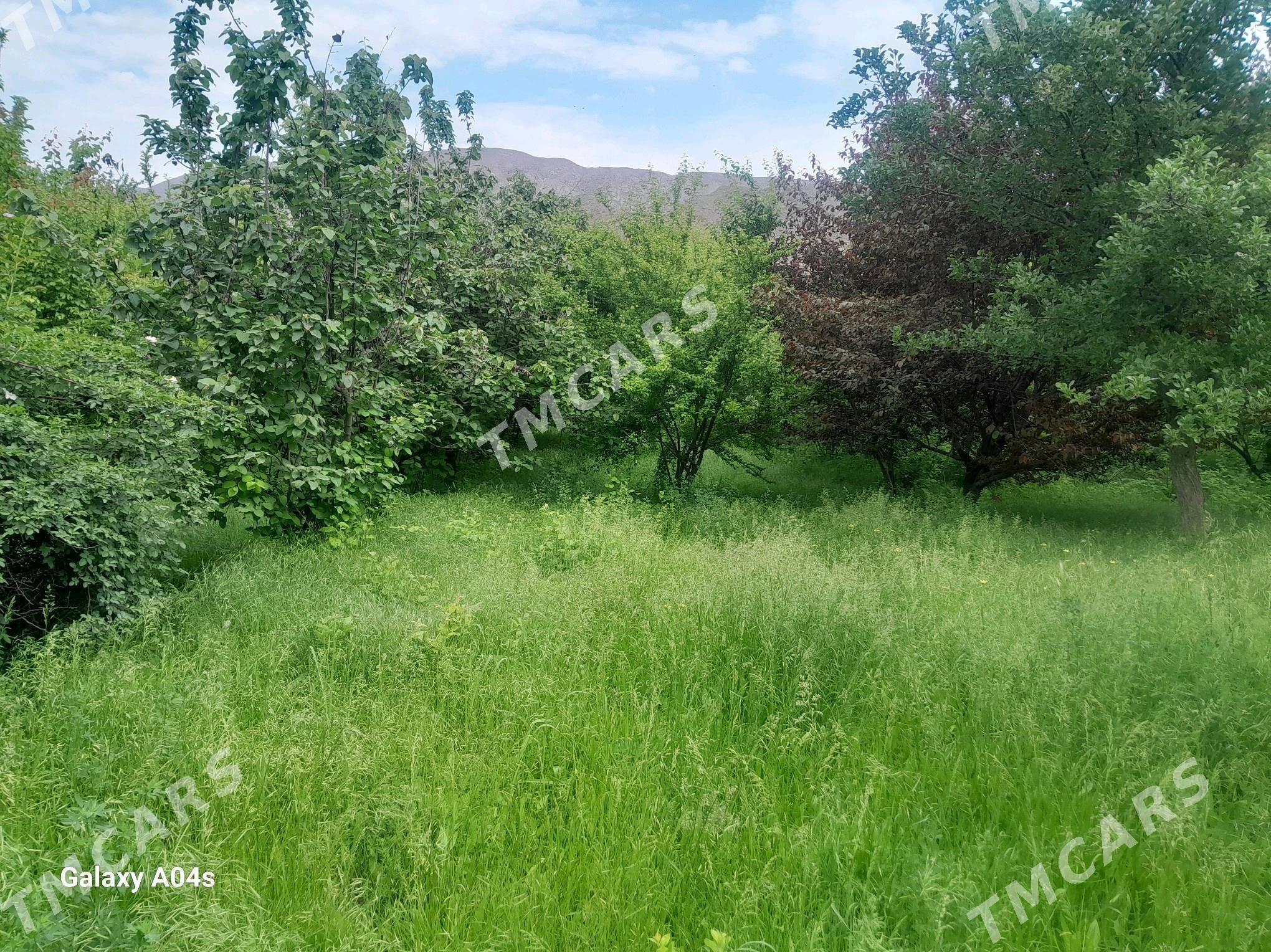 Gökdepe 8ýap mellek ýer - Gökdepe - img 3