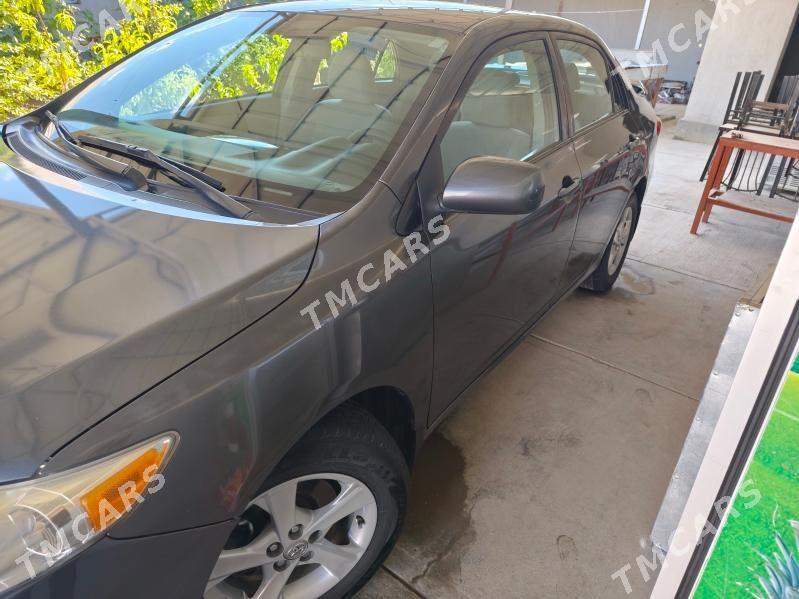 Toyota Corolla 2011 - 160 000 TMT - Губадаг - img 5
