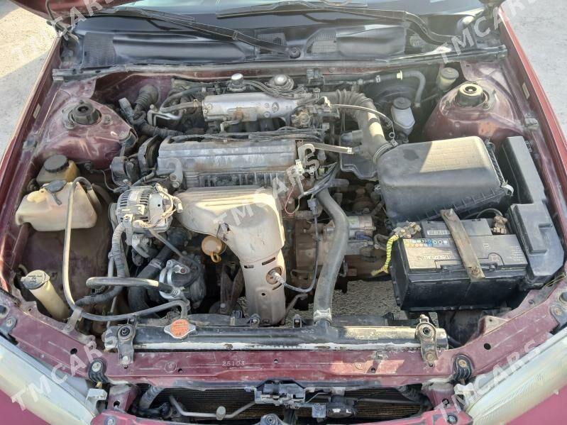 Toyota Camry 1997 - 100 000 TMT - Векильбазар - img 6