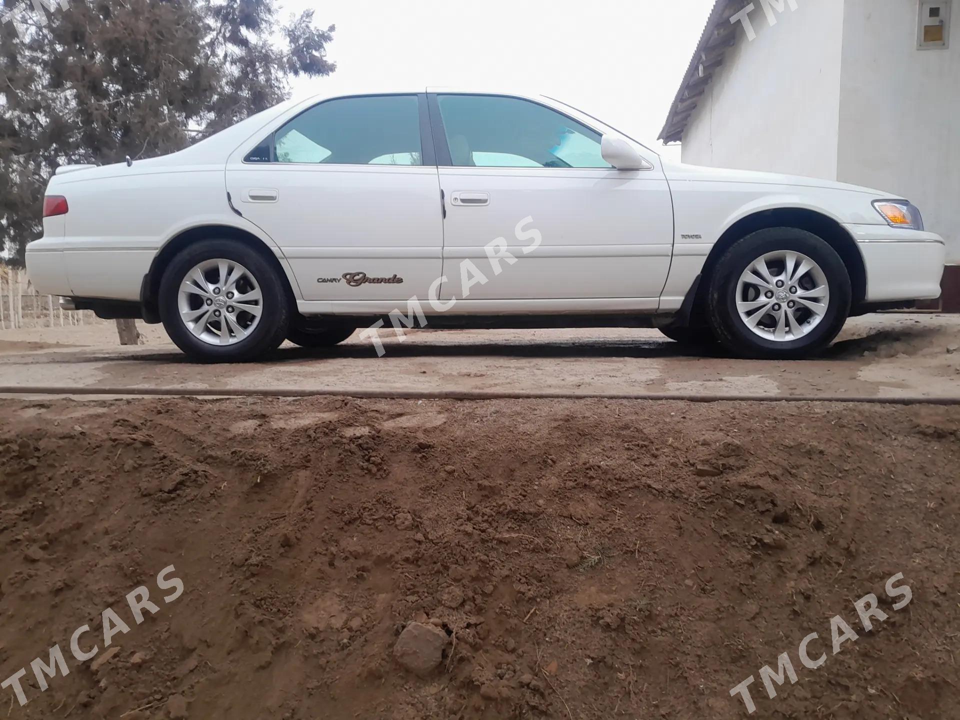 Toyota Camry 2001 - 165 000 TMT - Губадаг - img 4