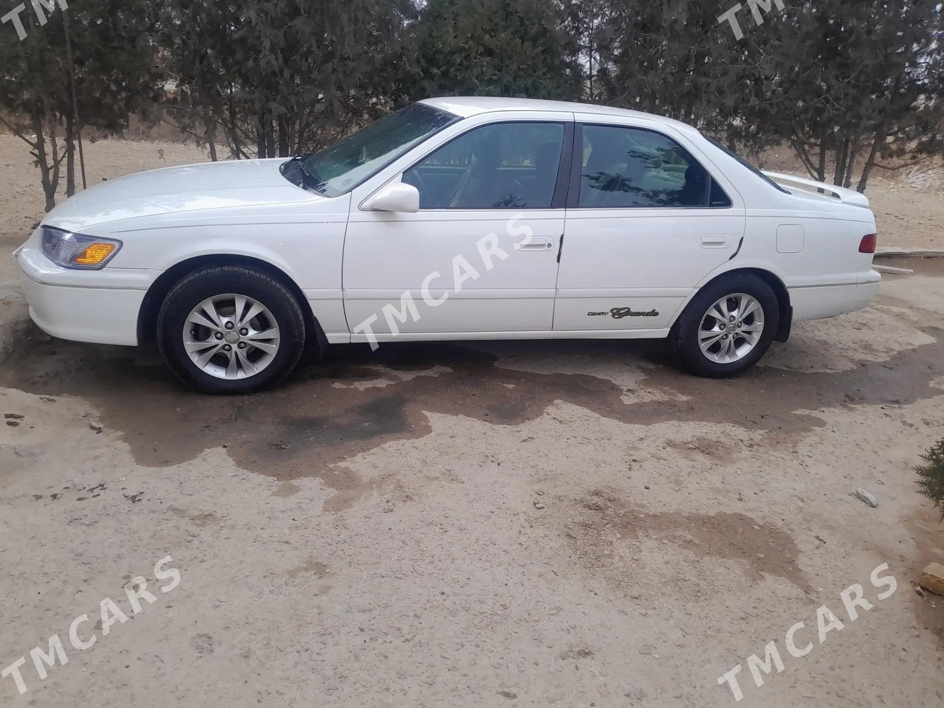 Toyota Camry 2001 - 165 000 TMT - Губадаг - img 2