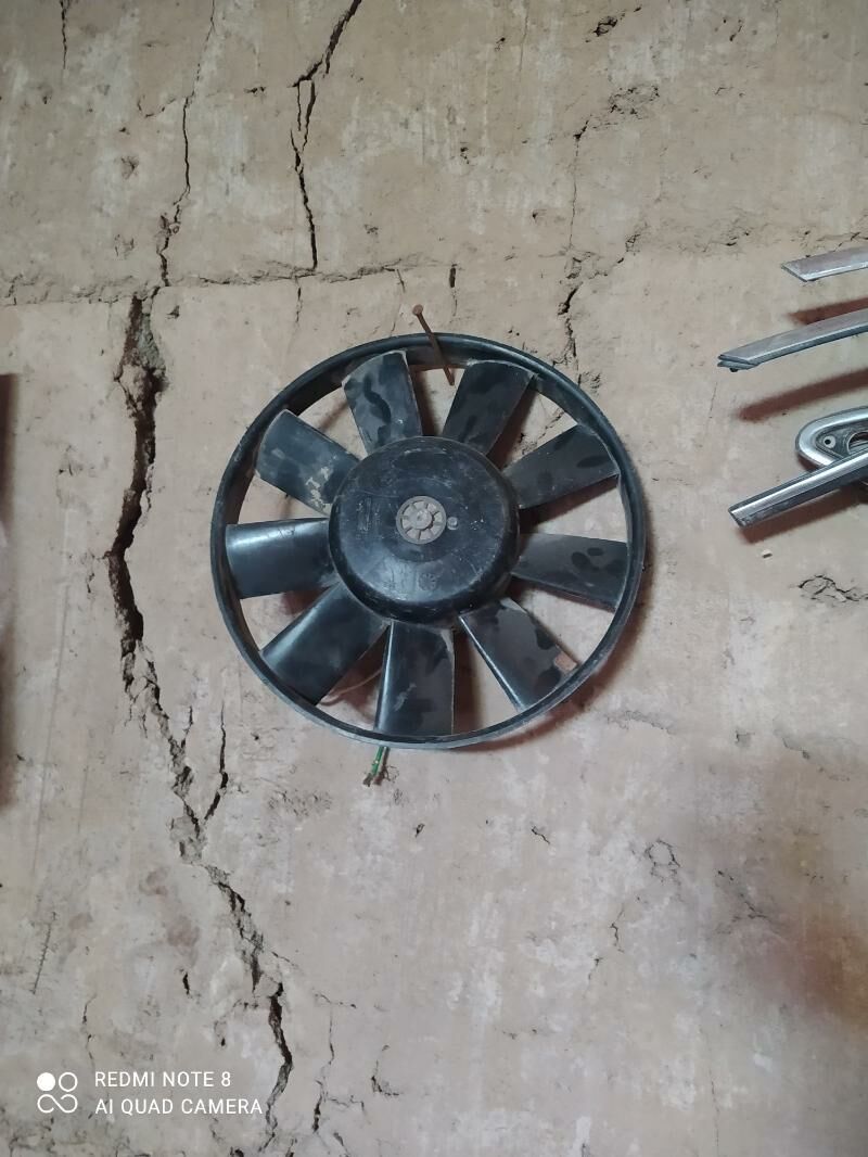 Lops perik 250 TMT - Daşoguz - img 2