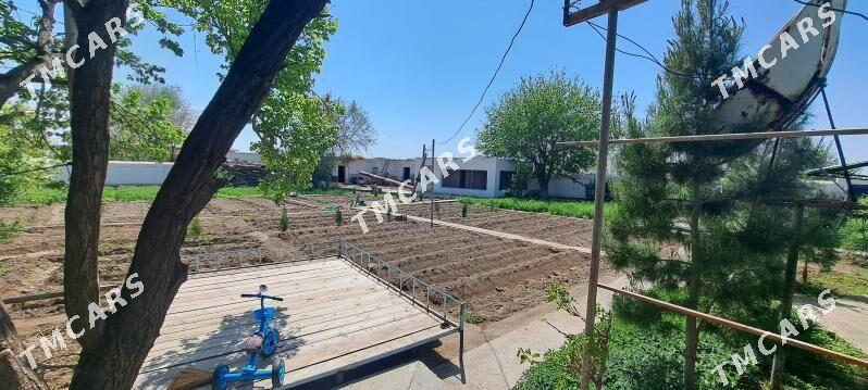 Jaý (daça) - Дашогуз - img 3