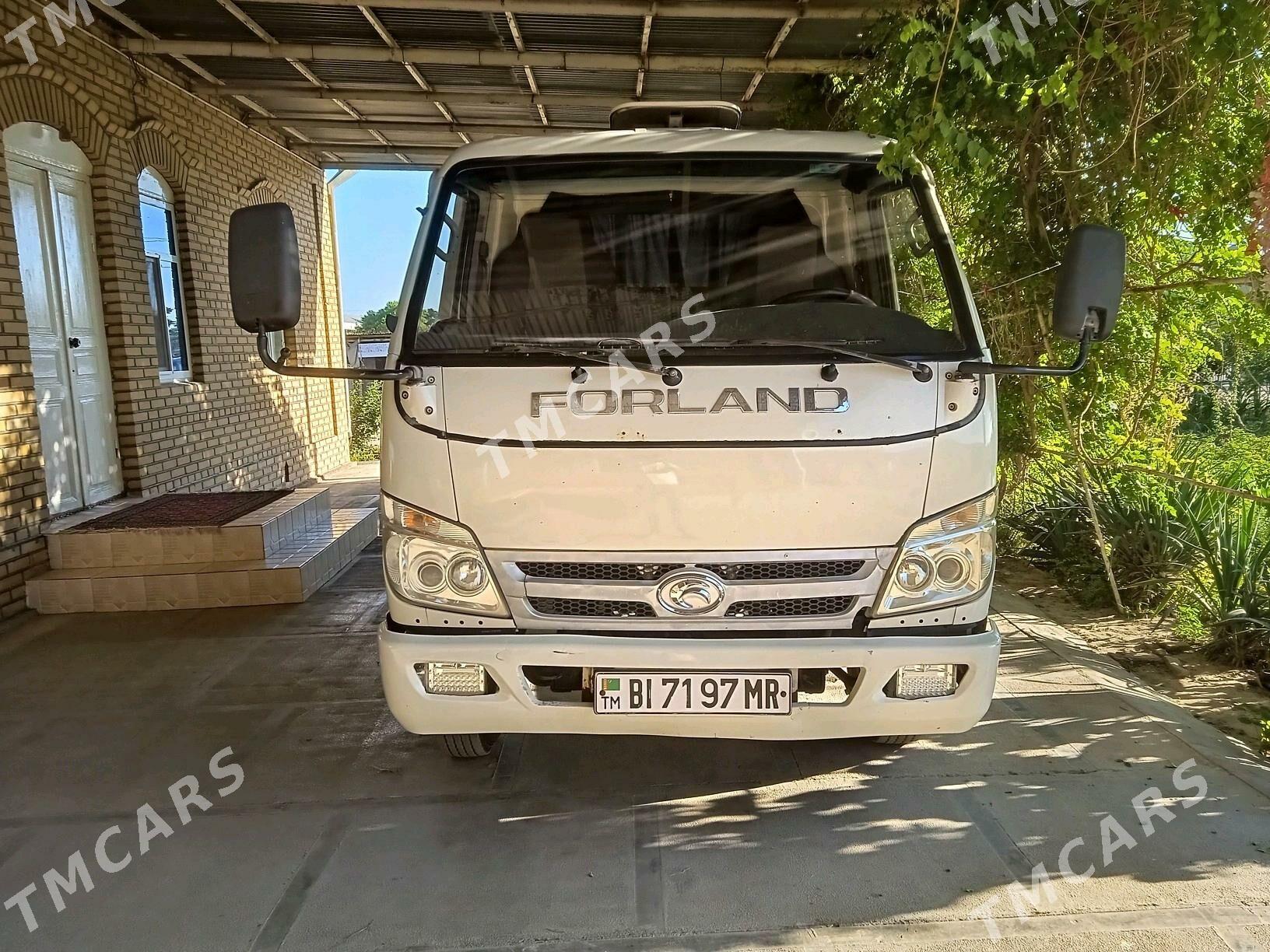 Forland H3 2015 - 150 000 TMT - Murgap - img 2