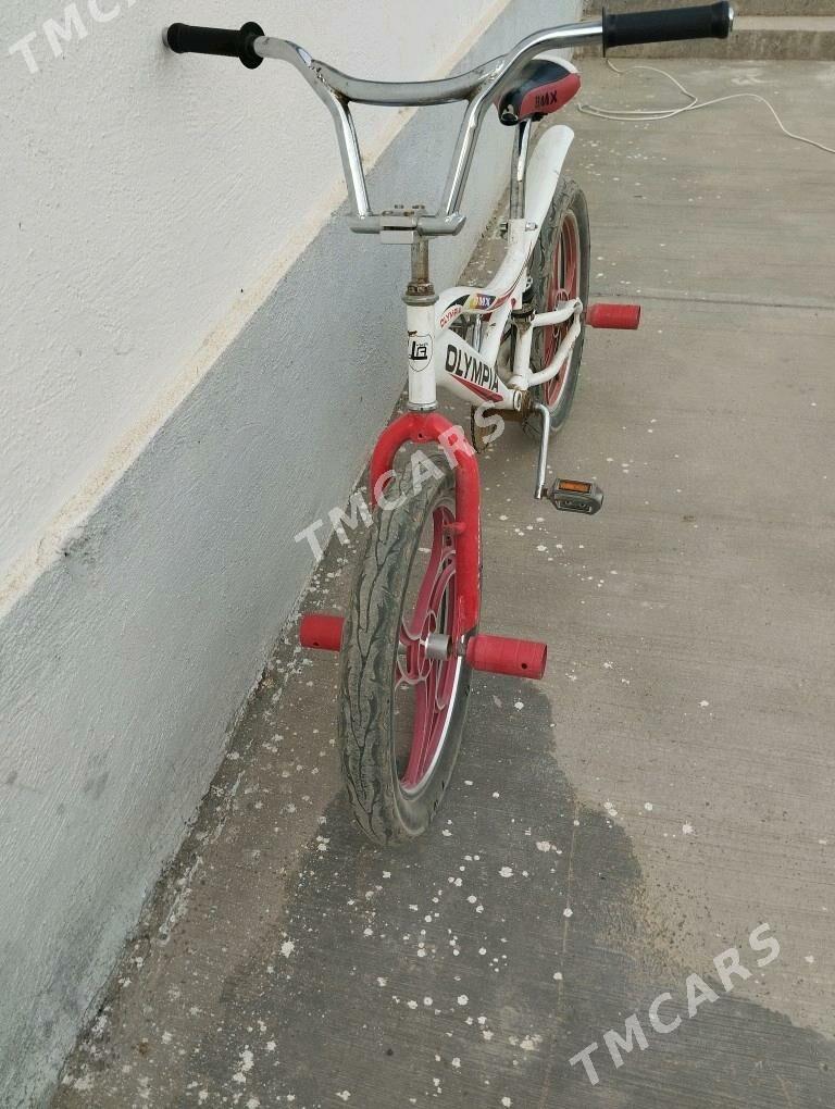 Tigir 20 lik - Gökdepe - img 2