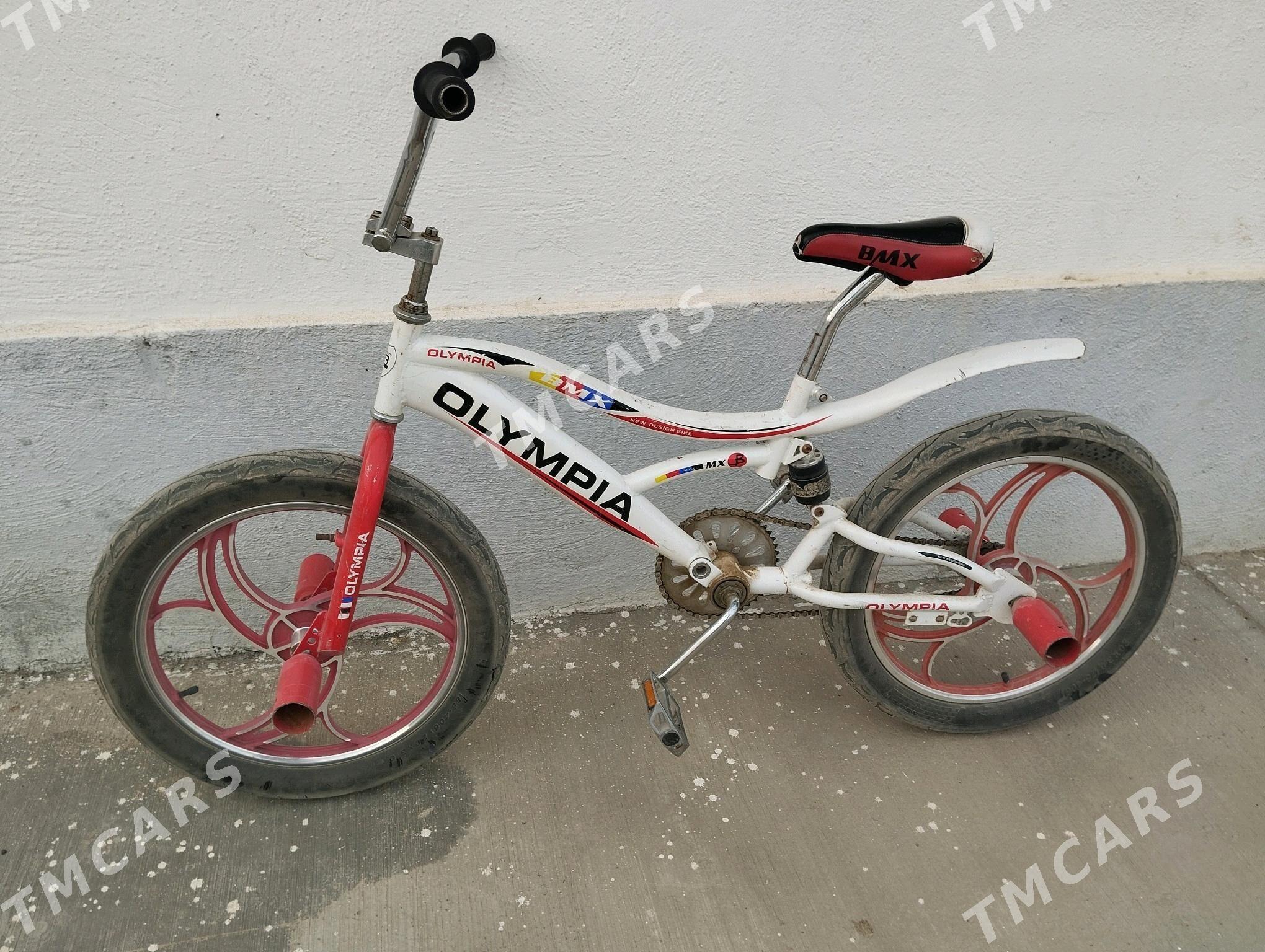 Tigir 20 lik - Gökdepe - img 3