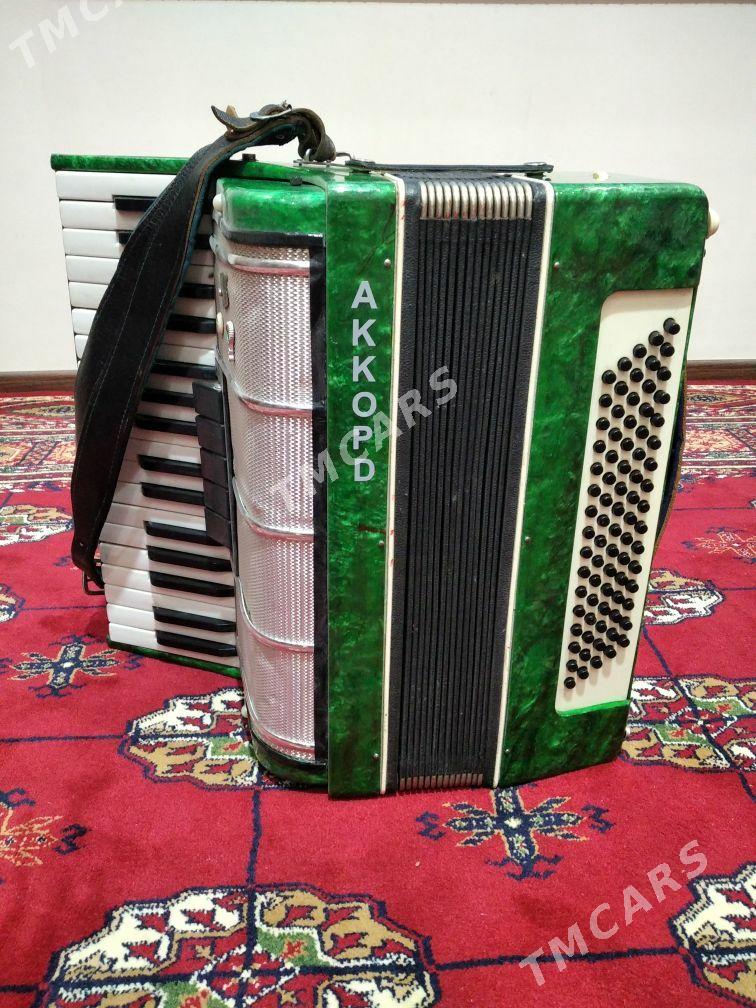 Akkardion - Мары - img 2