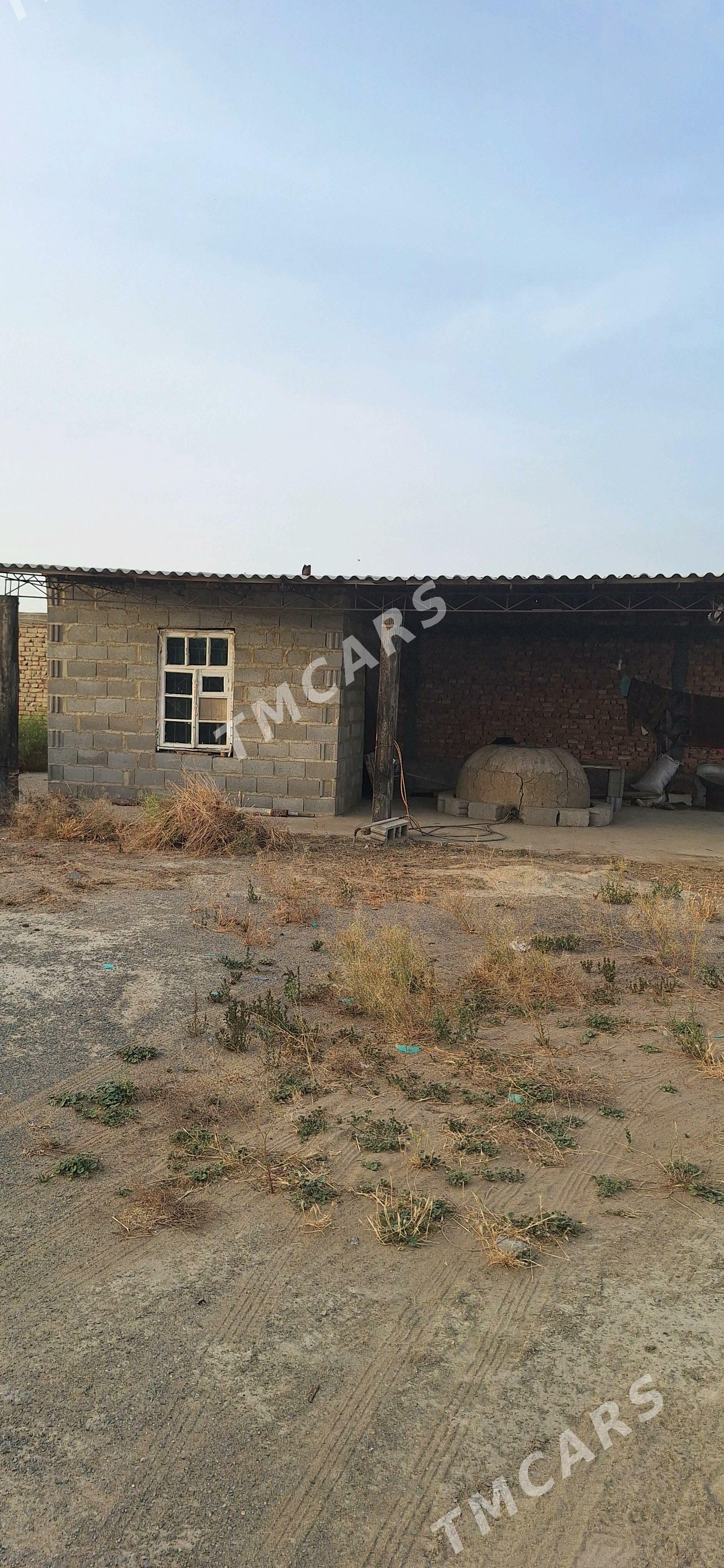 mal saklamak üçin ýatak ýer - Bäherden - img 3