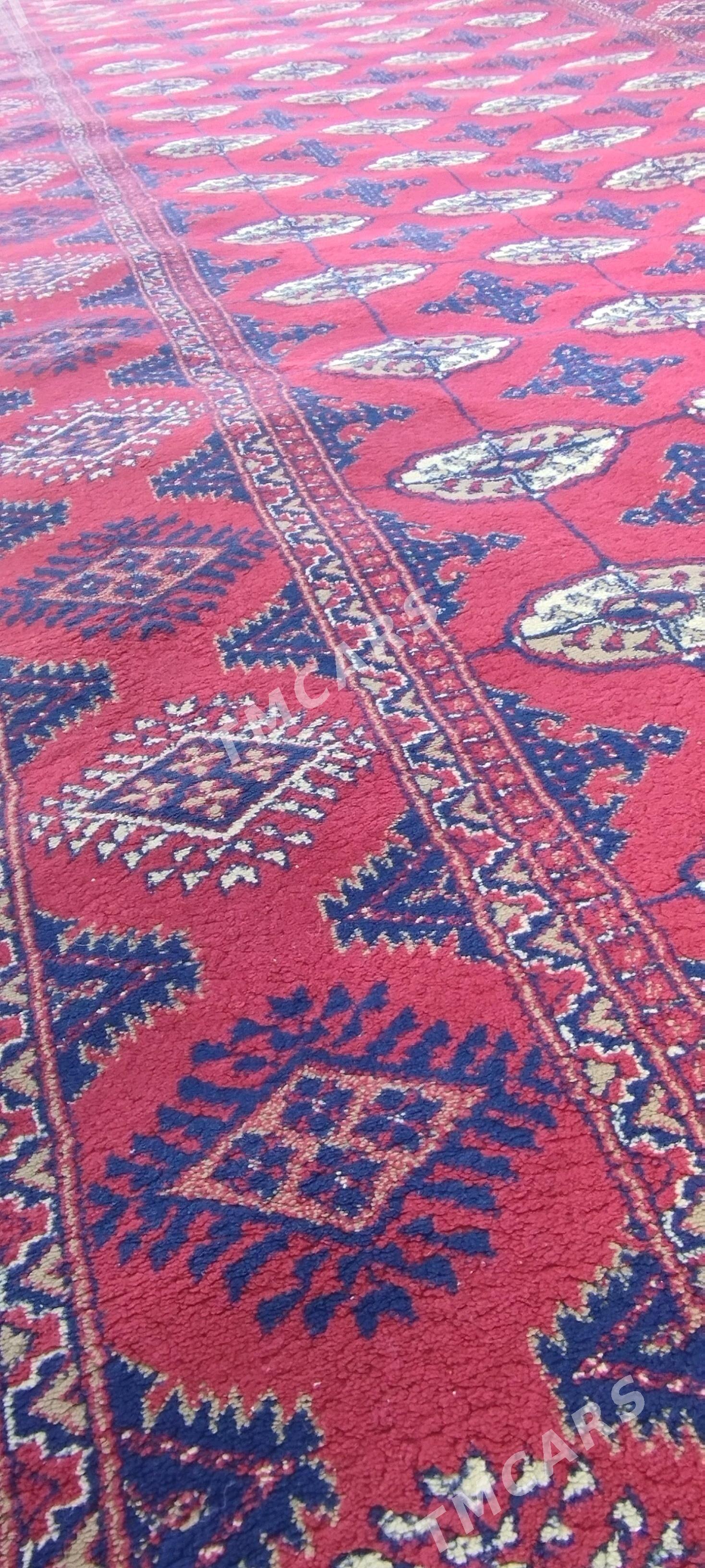 Gadymy Türkmen halysy - Gyzylarbat - img 2