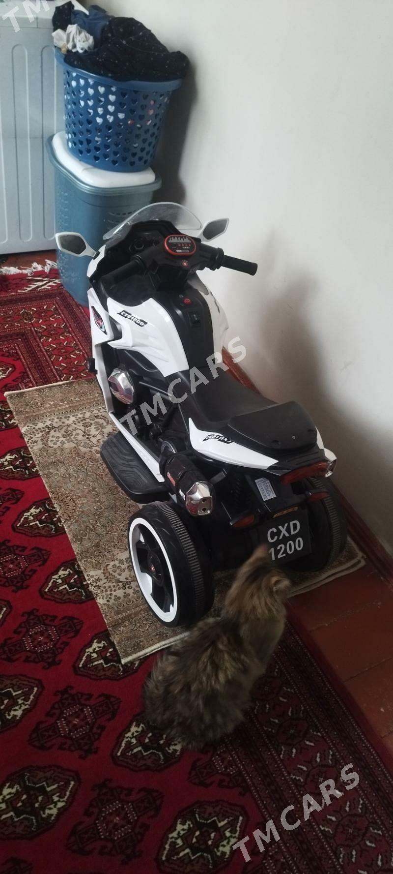 Caga Mator - Aşgabat - img 2