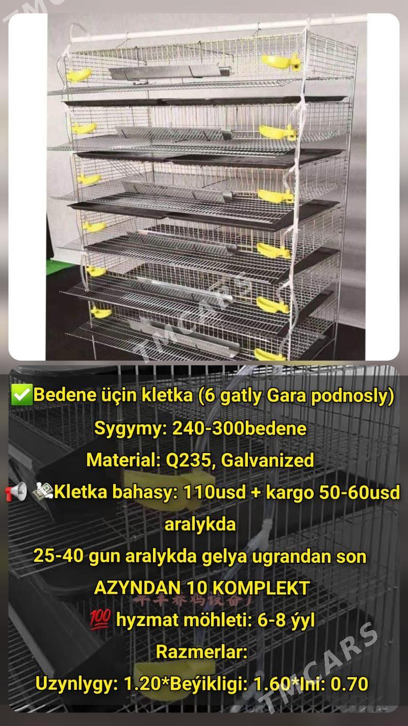 ZAKAZA INKUBATOR TOWUK HORAZ - Sowetskiý köç. (Garaşsyzlyk şaýoly) - img 9