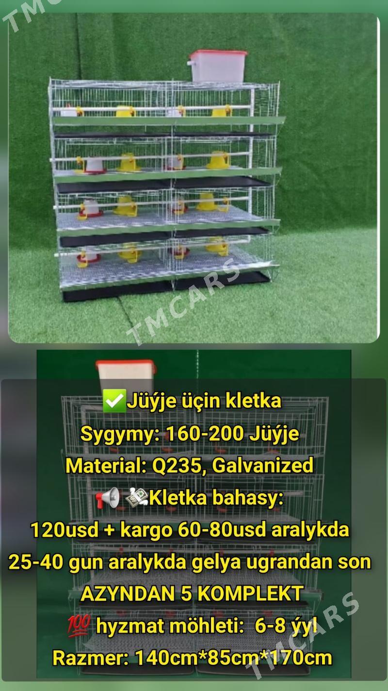 ZAKAZA INKUBATOR TOWUK HORAZ - Sowetskiý köç. (Garaşsyzlyk şaýoly) - img 10