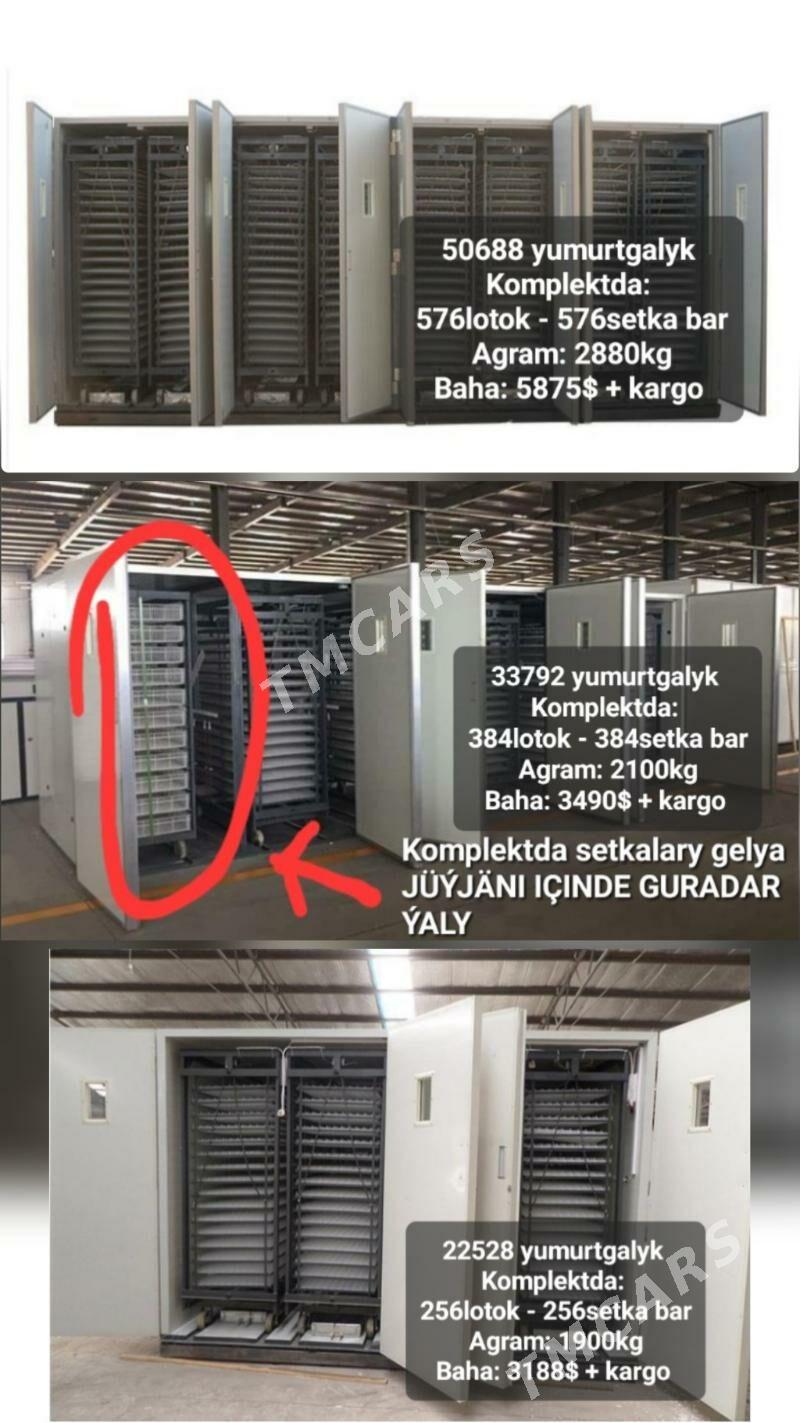 ZAKAZA INKUBATOR TOWUK HORAZ - Sowetskiý köç. (Garaşsyzlyk şaýoly) - img 6