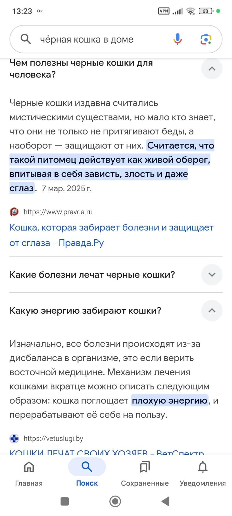 котята - Türkmenbaşy - img 2