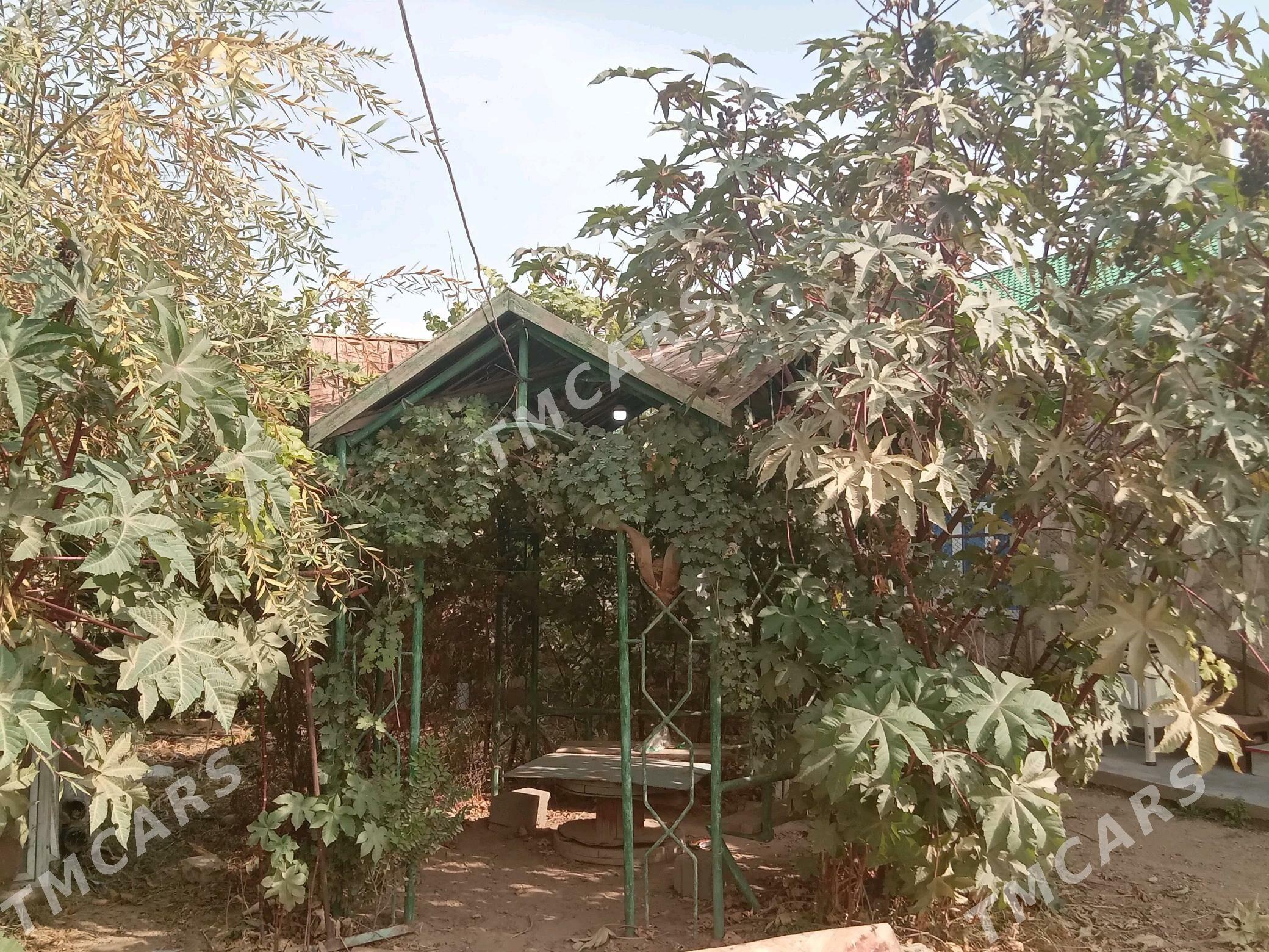 кирейне  жай - Jebel - img 5