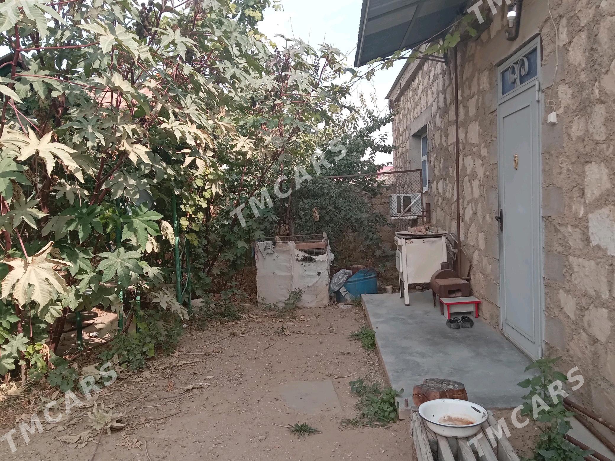 кирейне  жай - Jebel - img 6