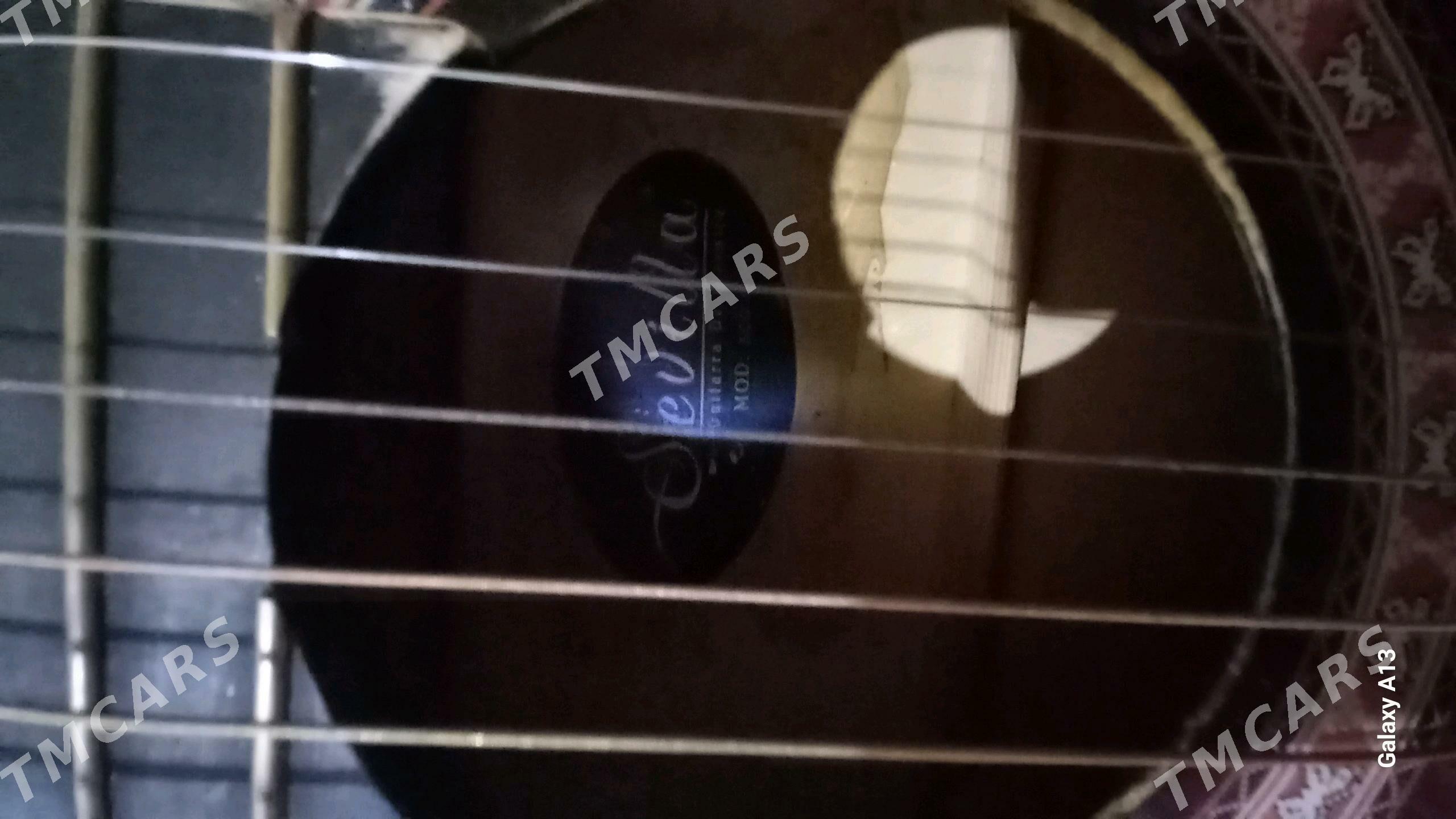 Gitara - Шабатский этрап - img 3