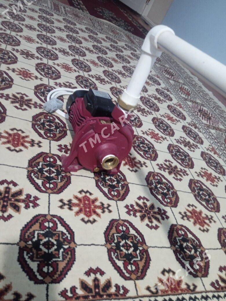 Nasoz - Daşoguz - img 2