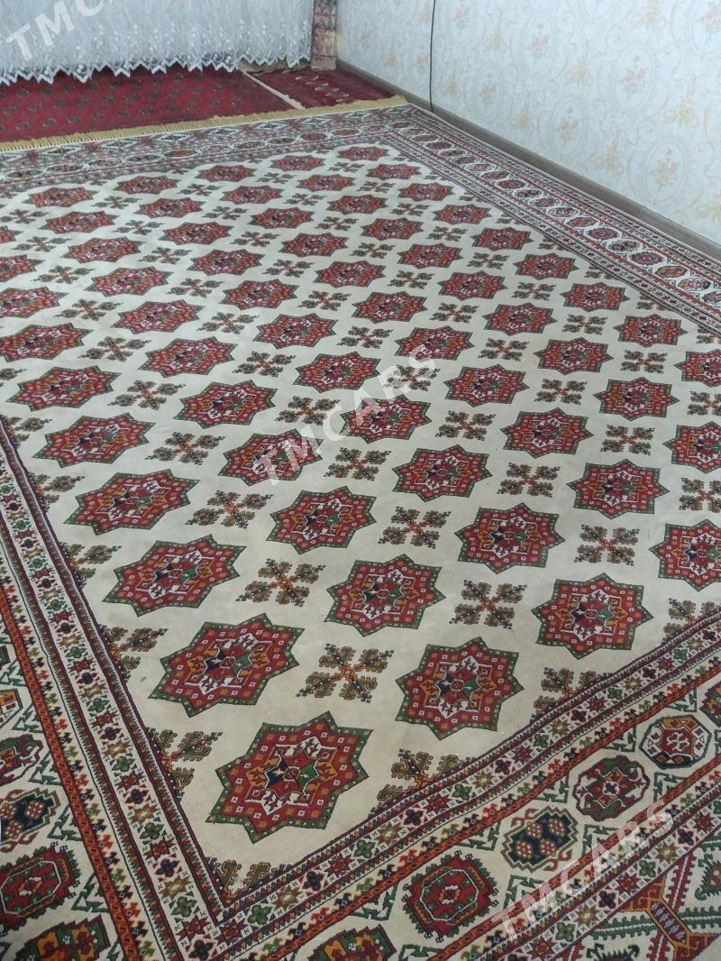 Haly Türkün önümi 3  3.5 - Ашхабад - img 2