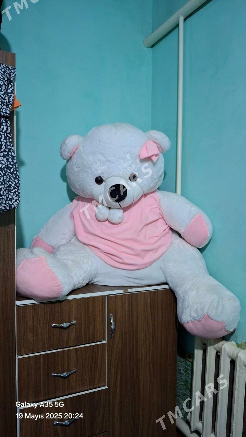 MIŞKA ULY - Дашогуз - img 2