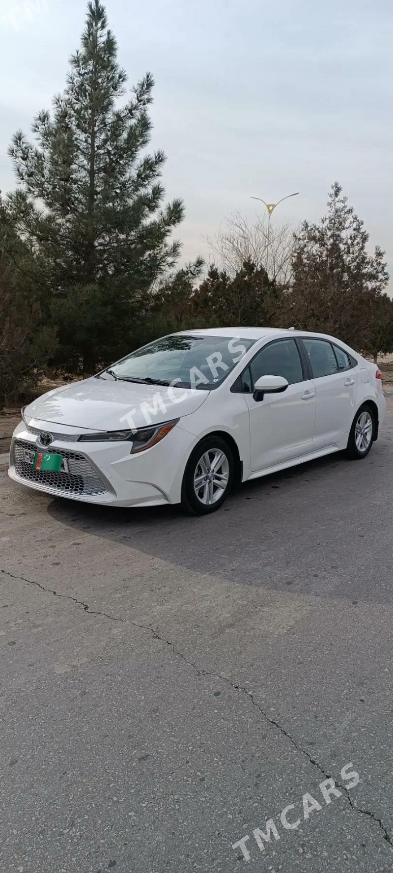 Toyota Corolla 2019 - 235 000 TMT - Balkanabat - img 4