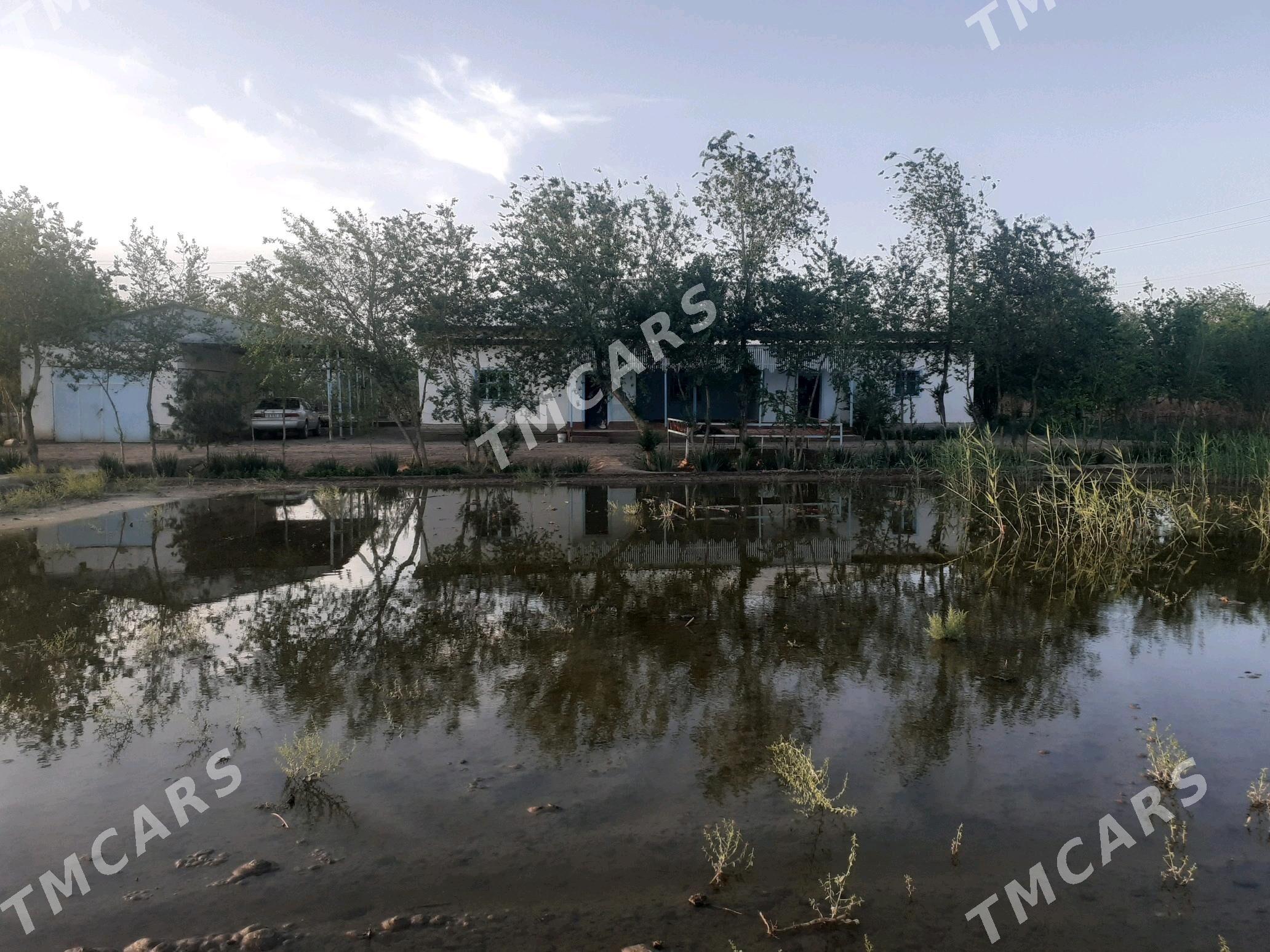 satlyk jaý - Türkmenbaşy etr. - img 2