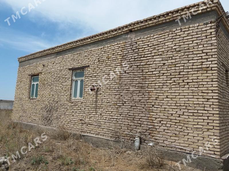 jay satlyk - Şabat etr. - img 4