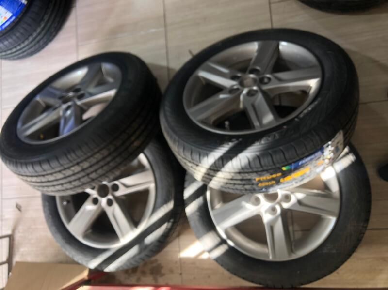 palta R17 Morda 6 000 TMT - Туркменабат - img 2
