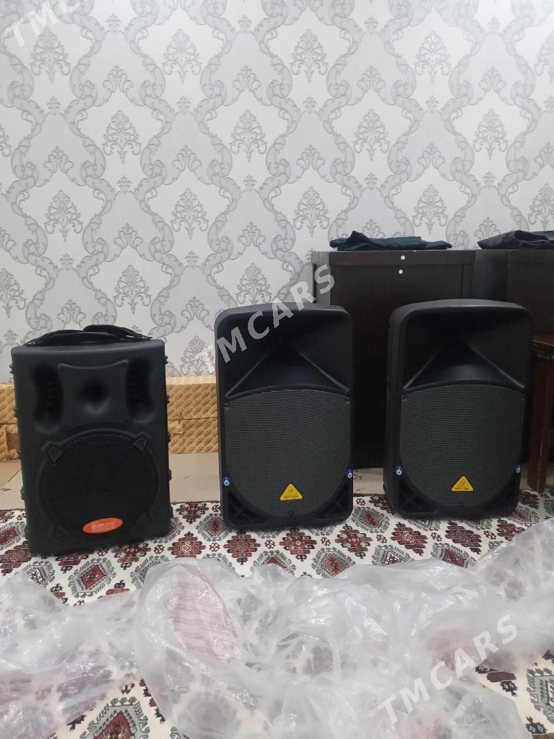 Behringer 115 W - Mary - img 2