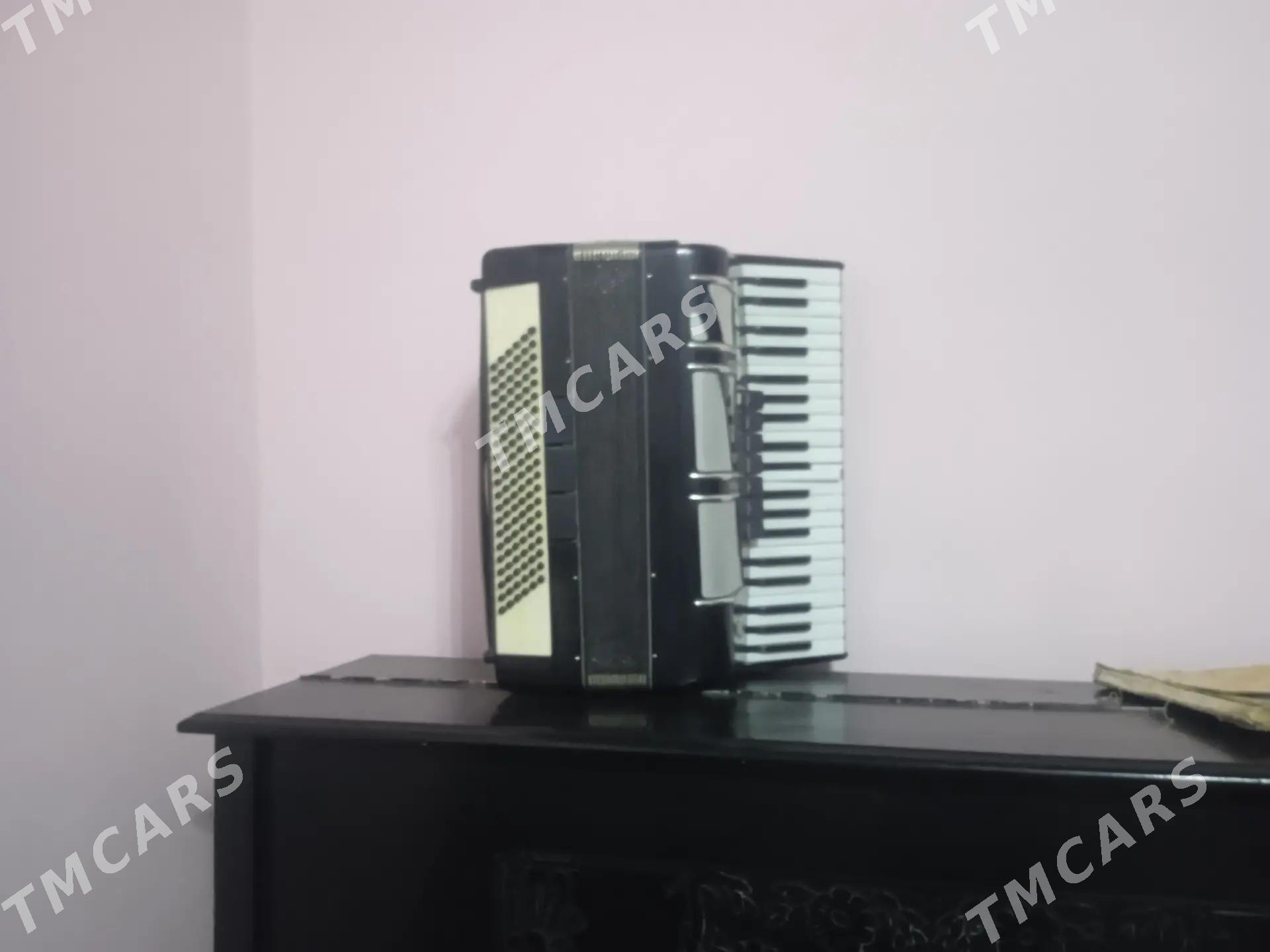 акардион - Türkmenabat - img 2