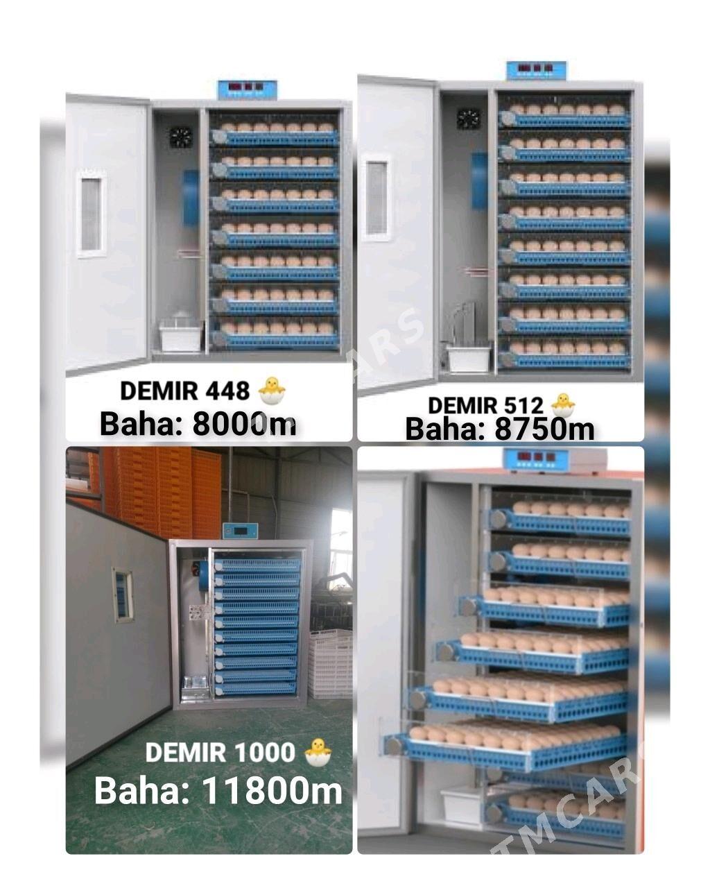 inkubator bedene gaz yumurtga - Sowetskiý köç. (Garaşsyzlyk şaýoly) - img 10