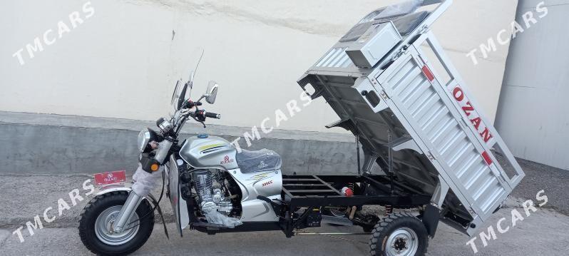 Ozan 200CC 3 2024 - 29 800 TMT - Büzmeýin - img 2