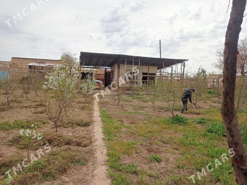 Dacha - Türkmenabat - img 2