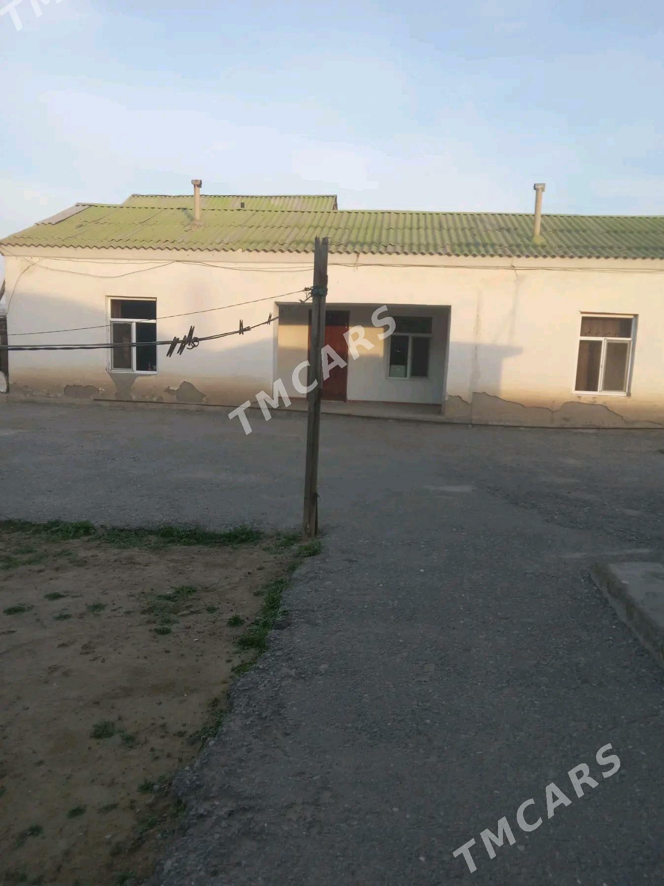 Pylan jaý akdasayak 12 sotok - Büzmeýin - img 1