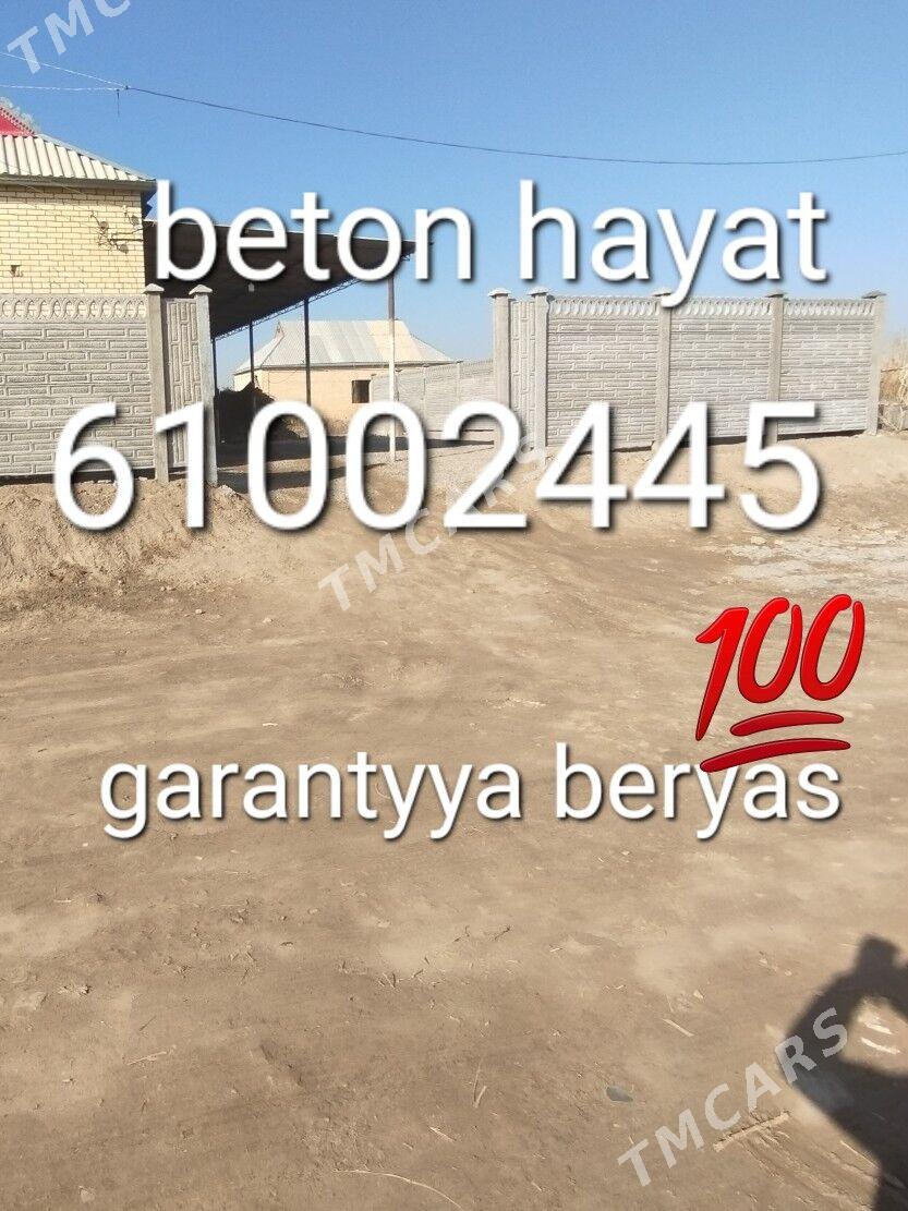 beton zaborlar(hayatlar) - Mary - img 7