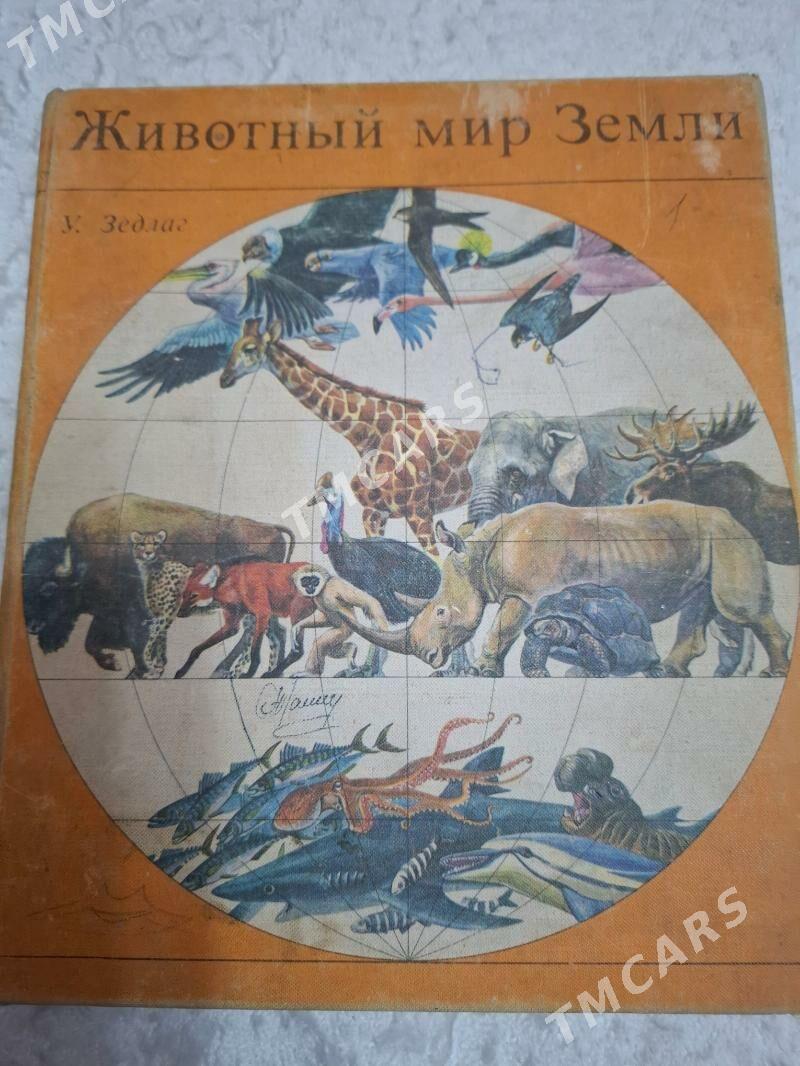 книги детс.энцикл.и другие - 4 мкр - img 5