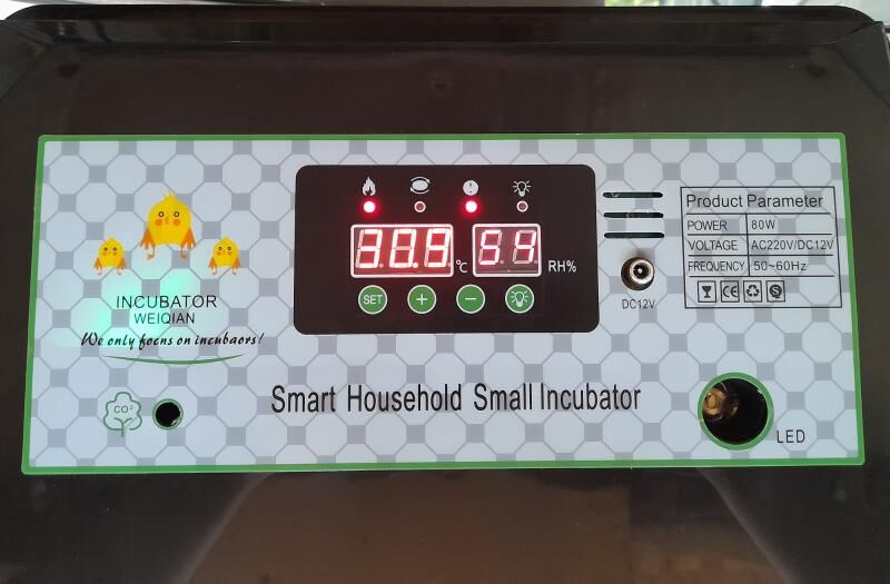 inkubator towuk jüýje horaz - Sowetskiý köç. (Garaşsyzlyk şaýoly) - img 4