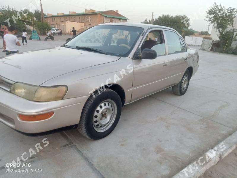 Toyota Camry 1995 - 45 000 TMT - Туркменабат - img 2