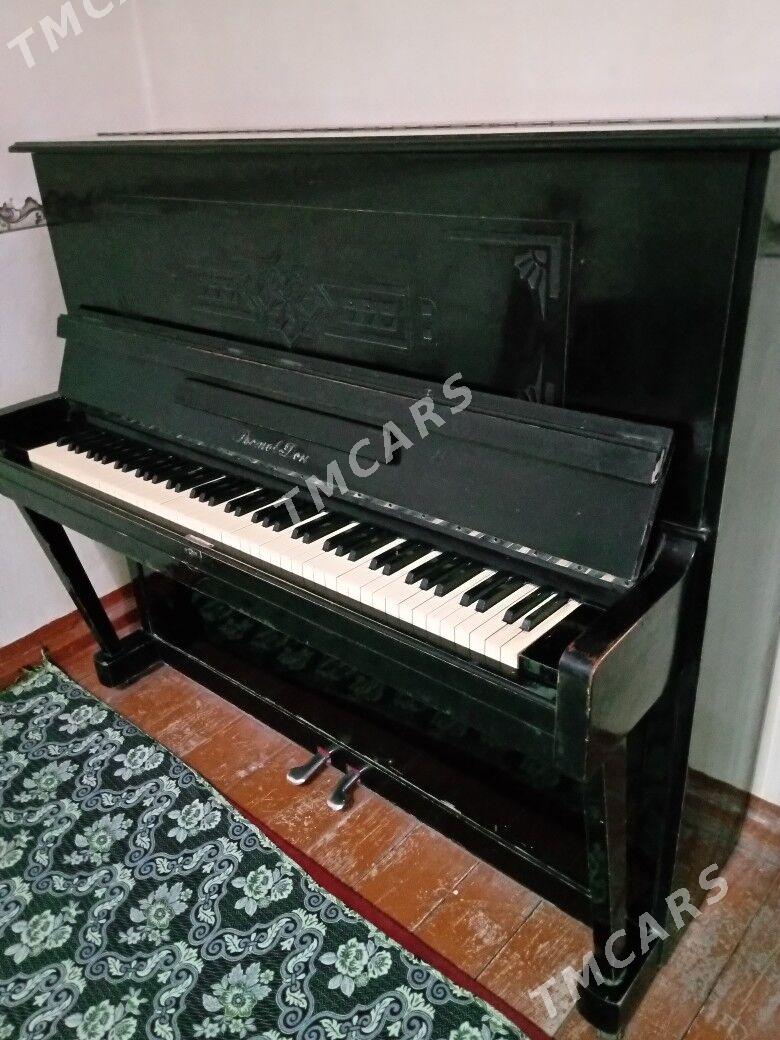 piano - Сакарчага - img 3